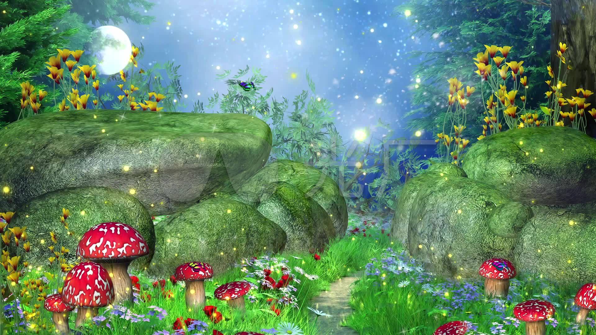 月夜茸蘑菇图片大全 Uc今日头条新闻网