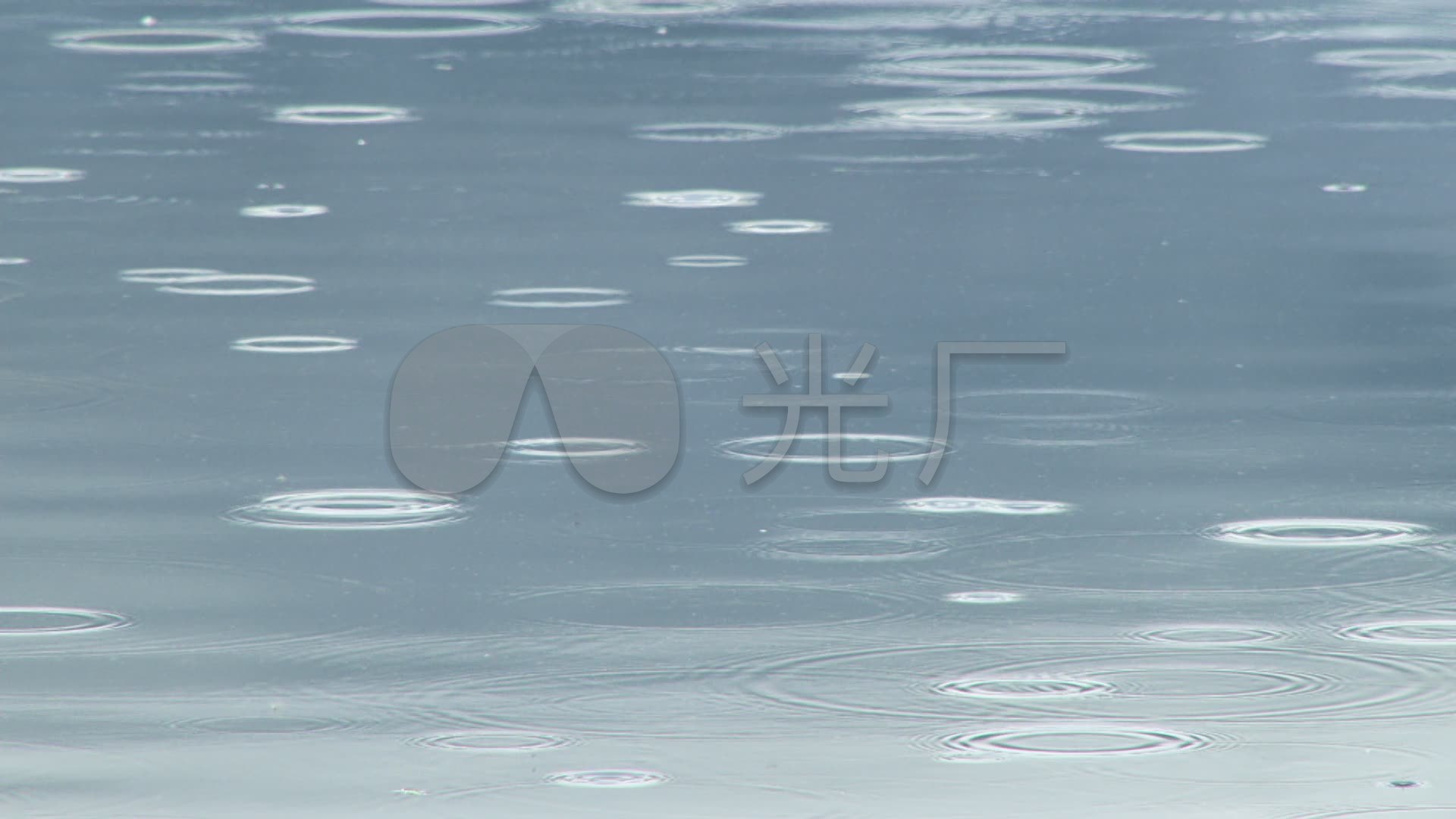 雨滴落在湖面上泛起涟漪