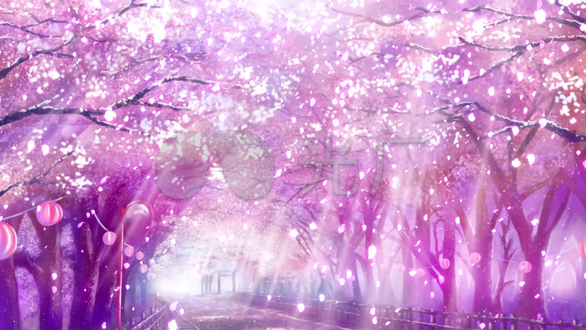 樱花树街道花瓣飘落浪漫梦幻背景视频