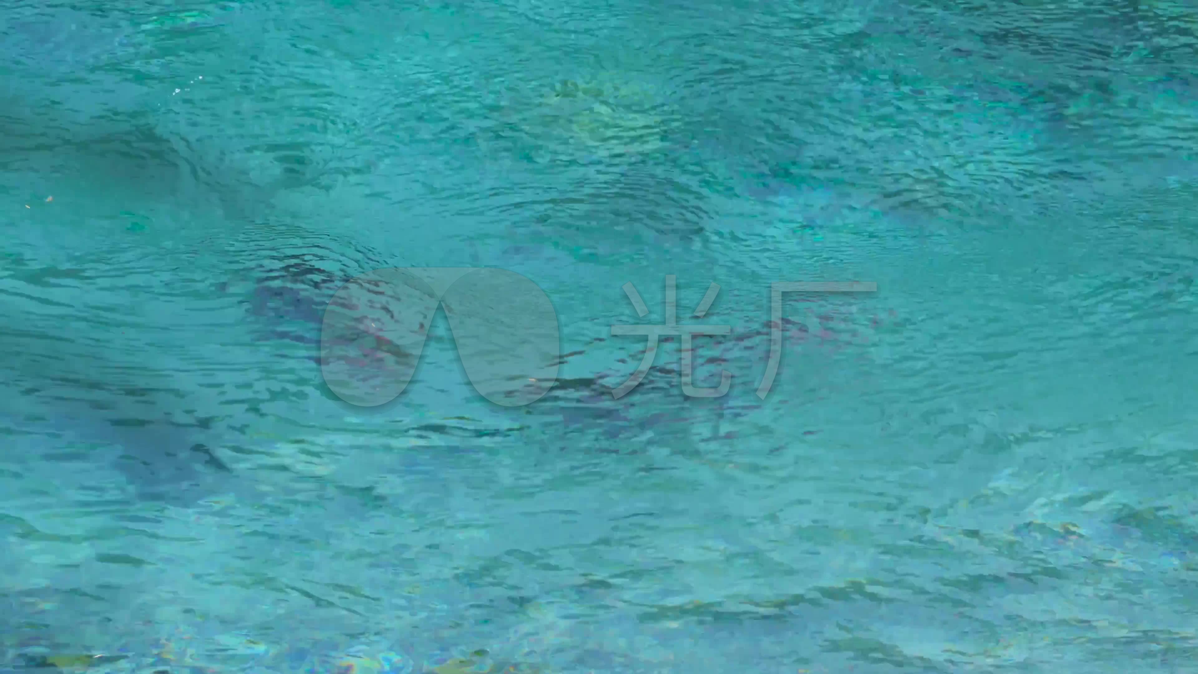 篝火黑熊松鼠河水森林小路_3840x2160_高清视频素材下载(编号:816640)