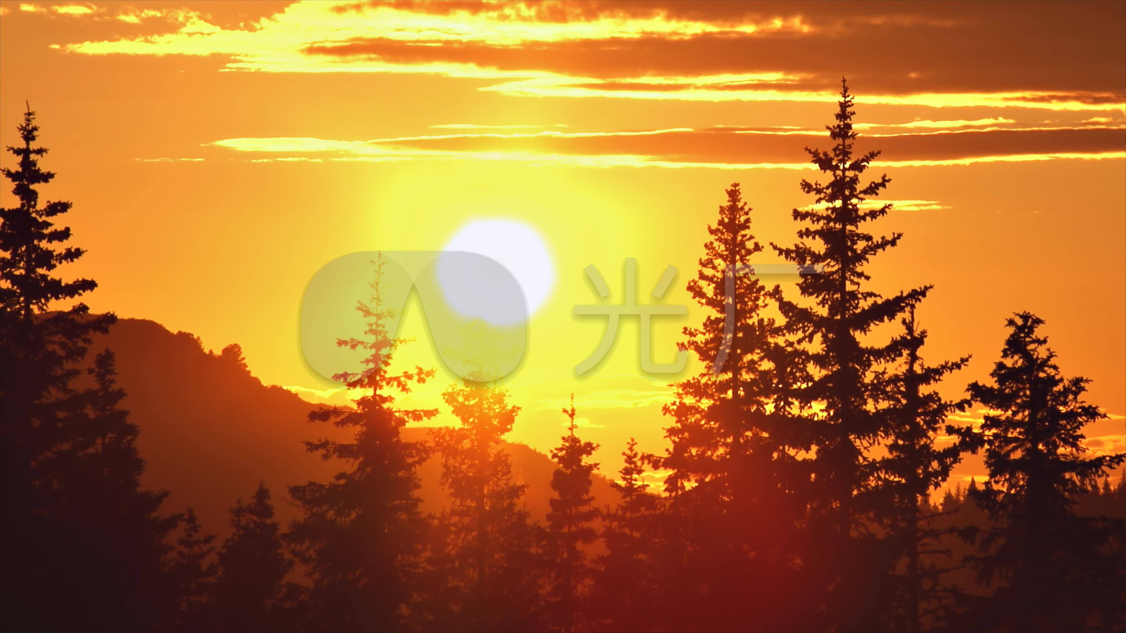 4k树林山后太阳落山