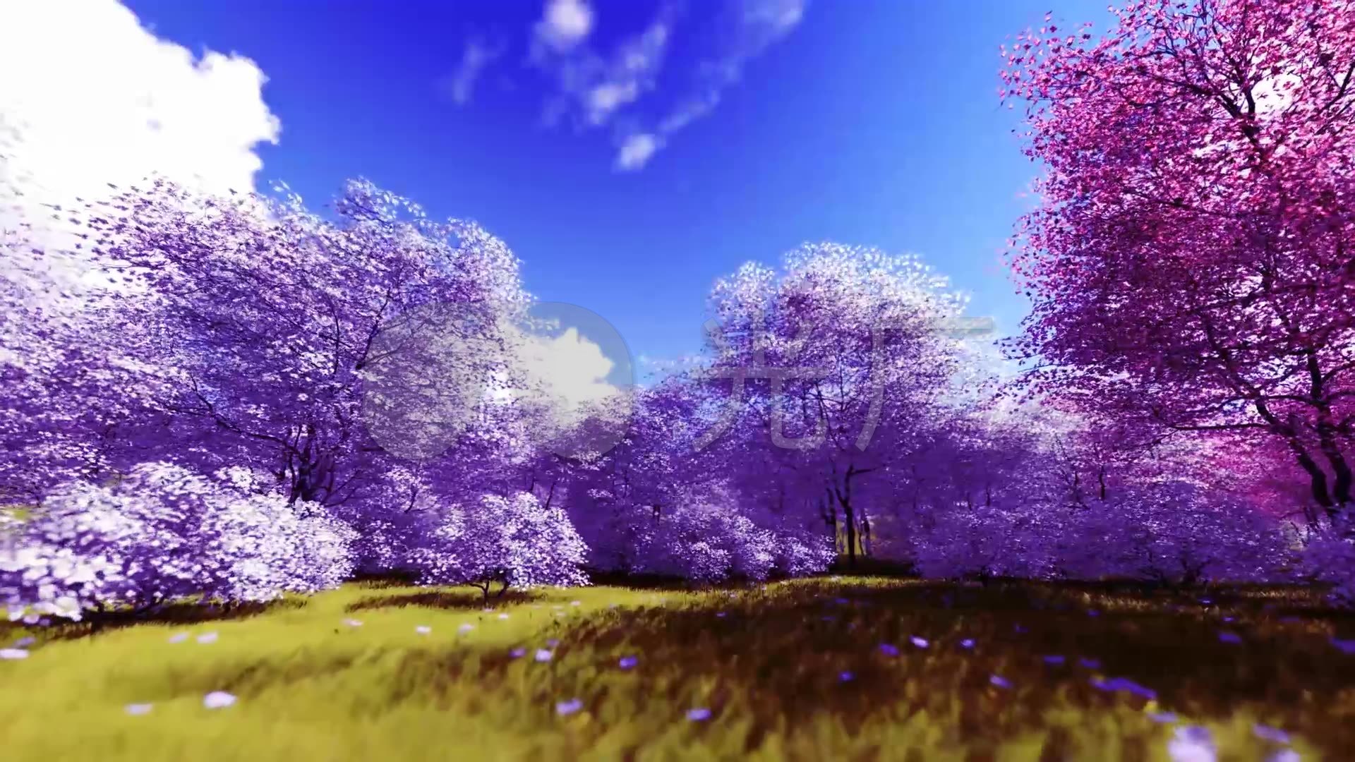 唯美梦幻大气紫气东来自然景色景观