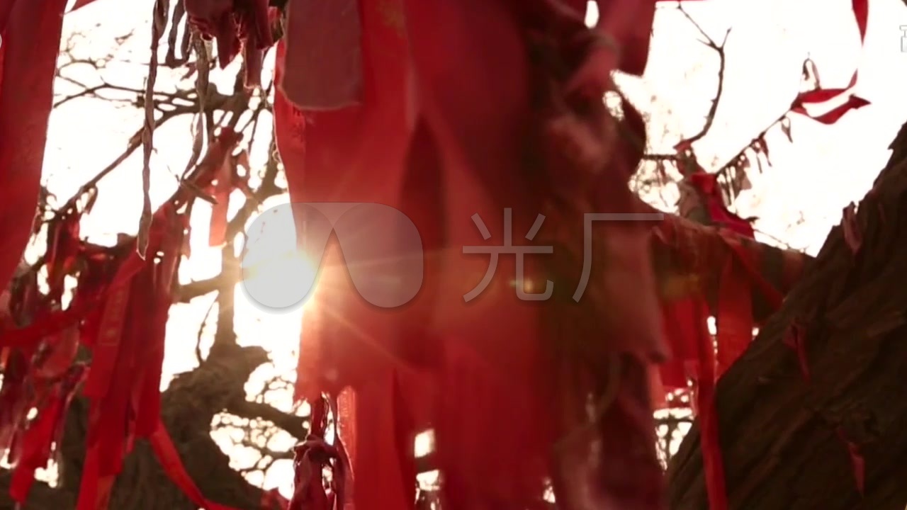 系着红条的月老树唯美祈福_1280x720_高清视频素材下载(编号:855549)