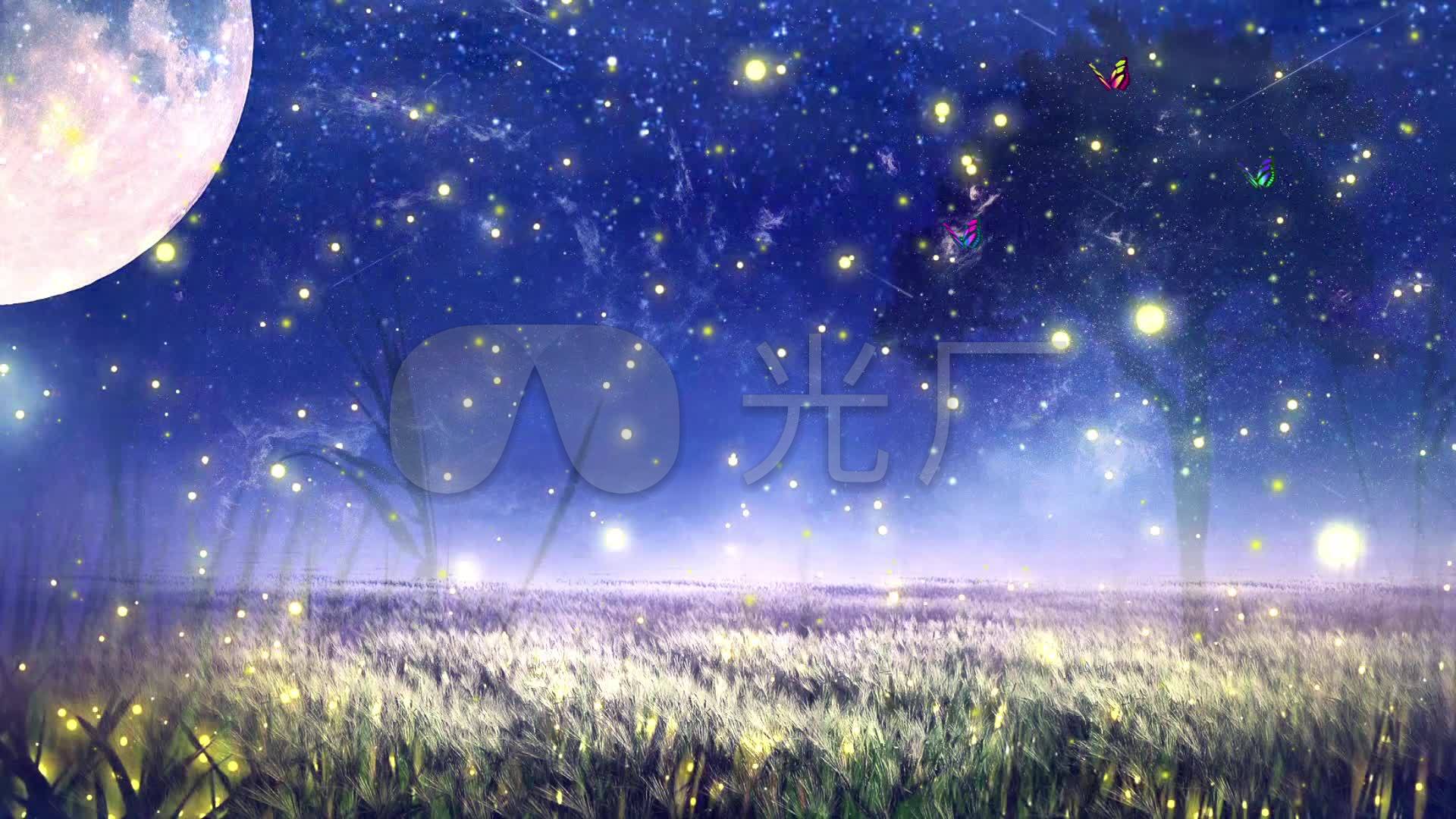 唯美星空月夜萤火虫流星雨浪漫背景视频