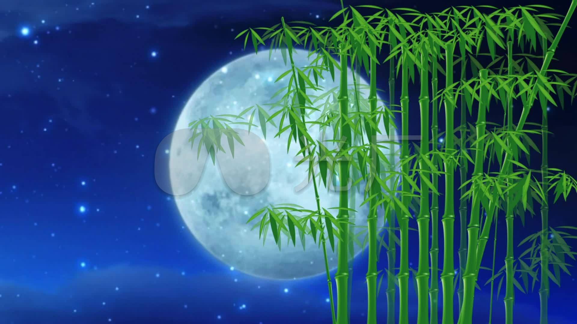 月光竹林月光下的凤尾竹星空
