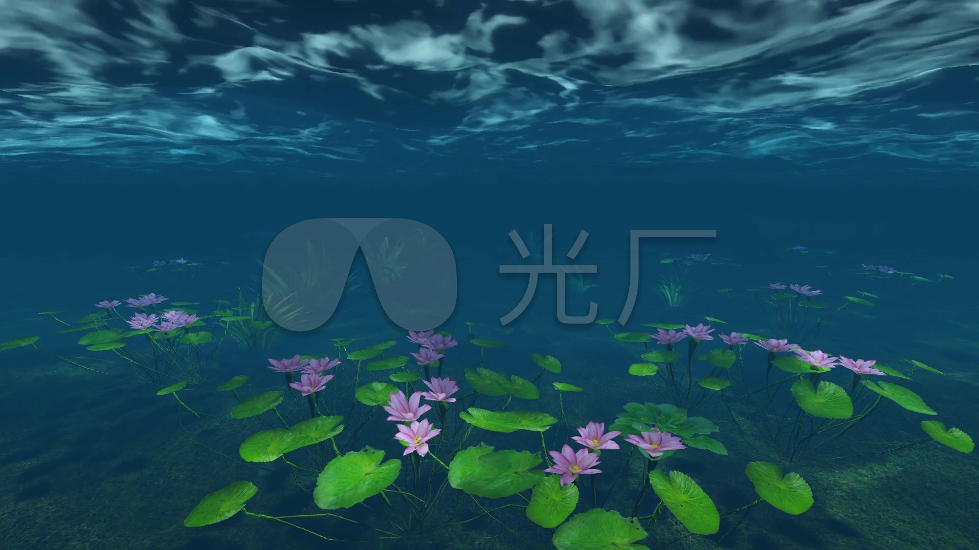 逼真虚拟海底场景莲花生长水平面创意视觉