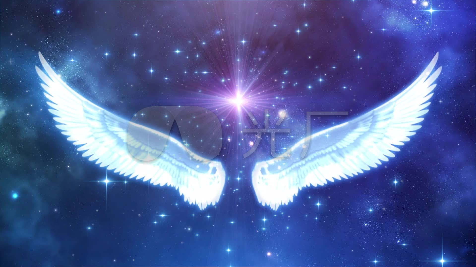 天使的翅膀_1920x1080_高清视频素材下载(编号:873506