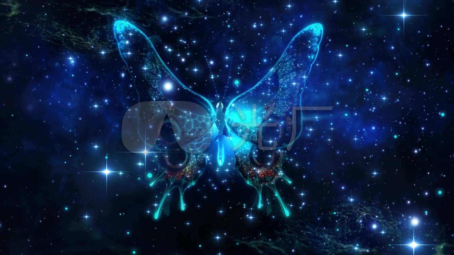粒子梦幻蝴蝶_1920x1080_高清视频素材下载(编号:)