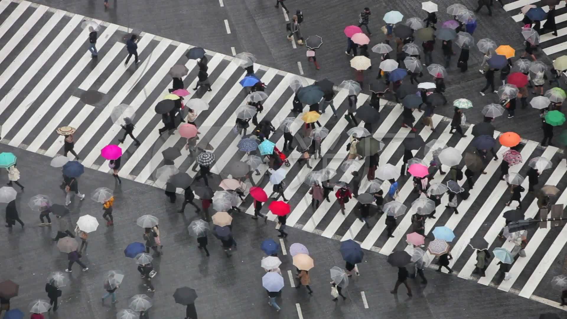 雨天的十字路口人群_1920x1080_高清视频素材下载(:)
