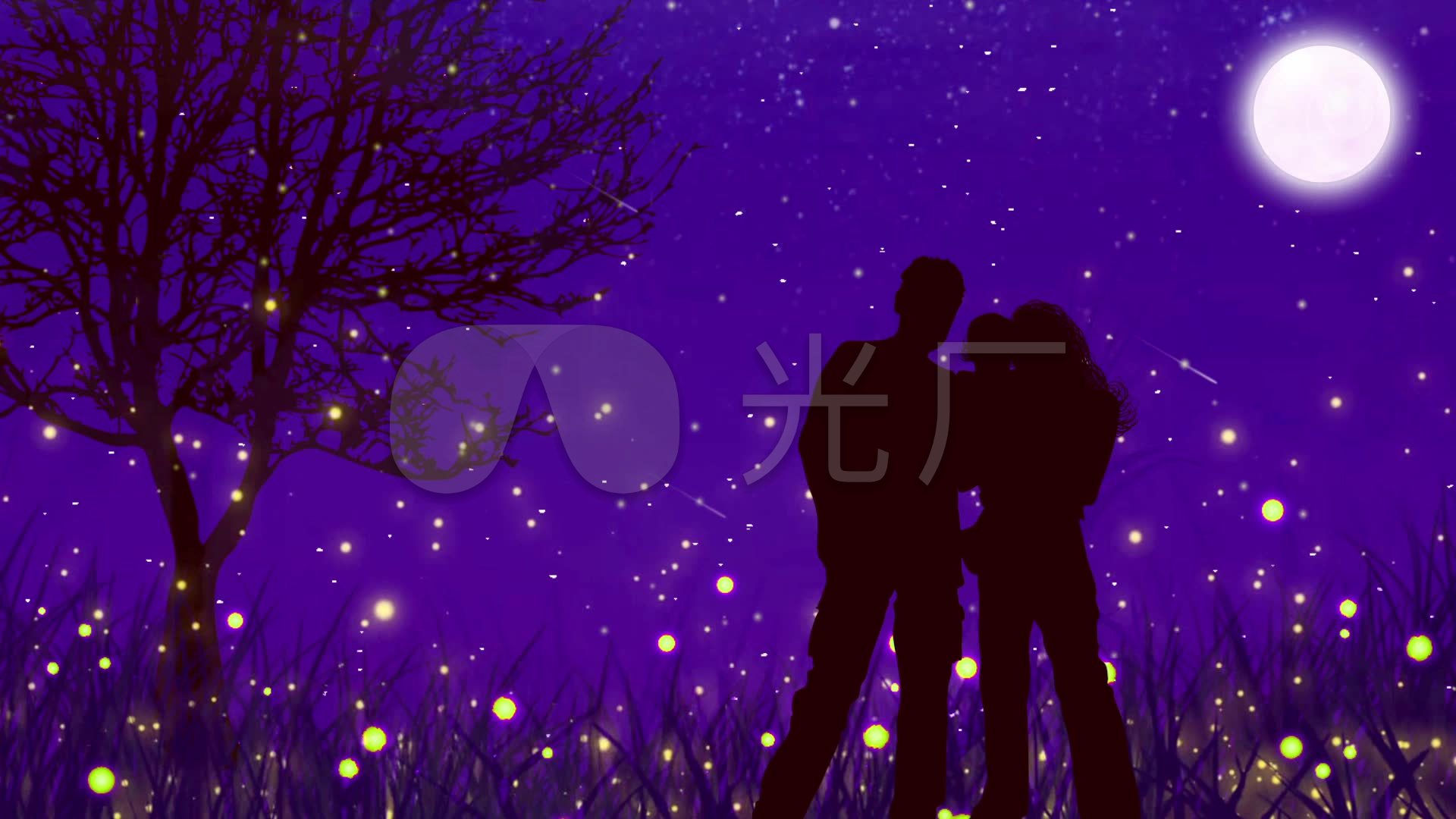 浪漫唯美萤火虫月夜相亲相爱一家人看流星雨