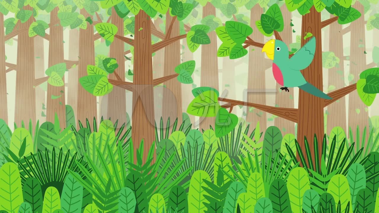 mg动画 森林 鸟 热带