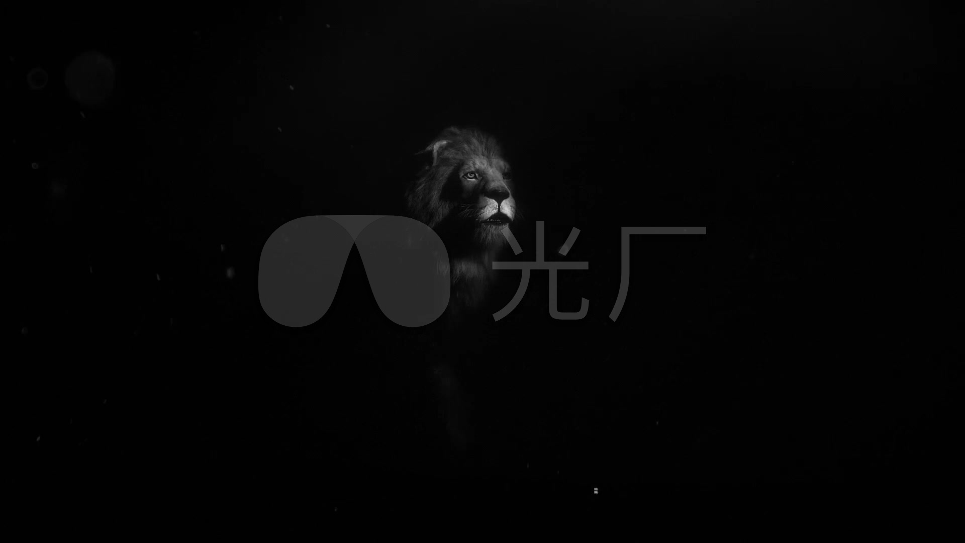 黑白狮子雄狮猛兽cgcg动画_1920x1080_高清视频素材
