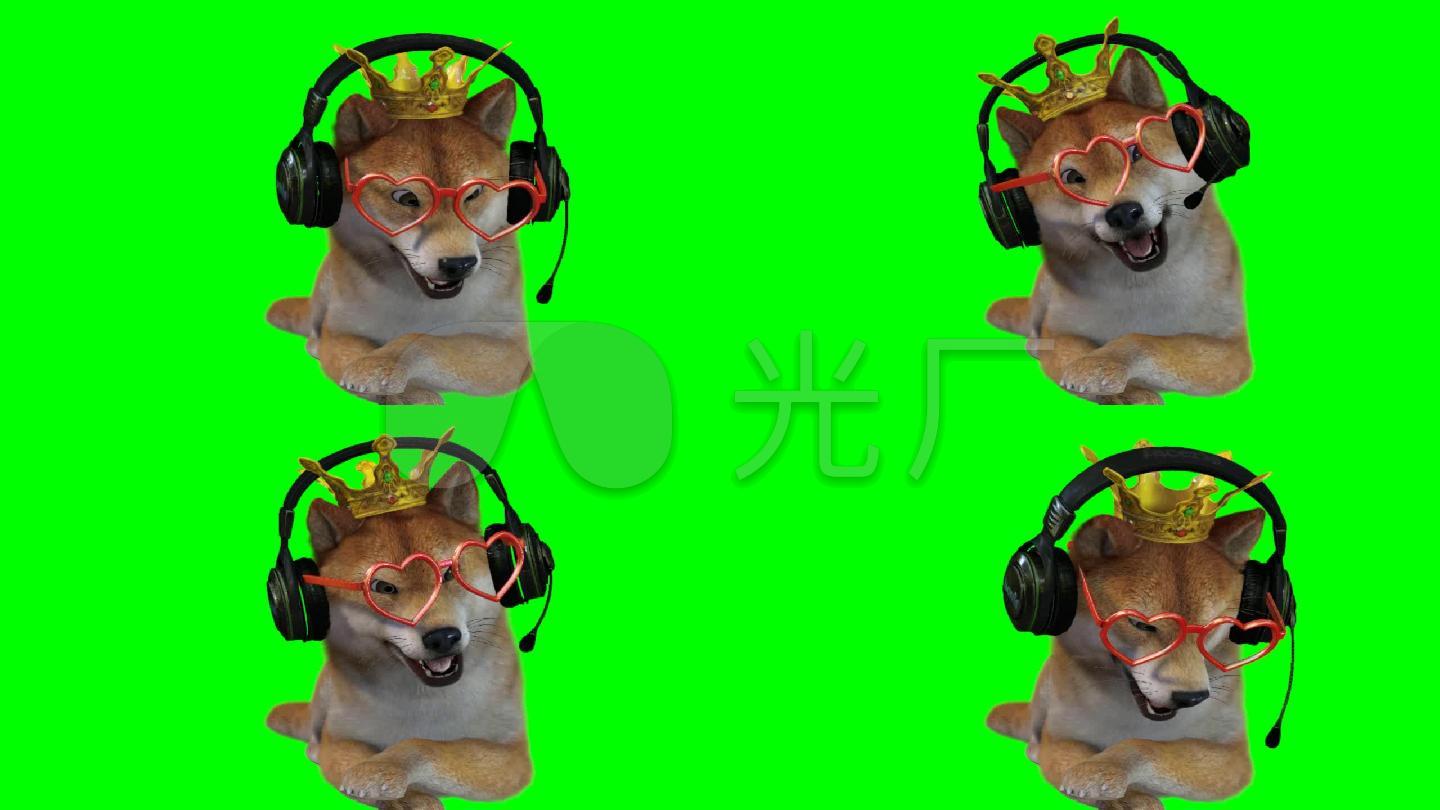 搞笑土狗8绿屏抠像素材绿幕素材