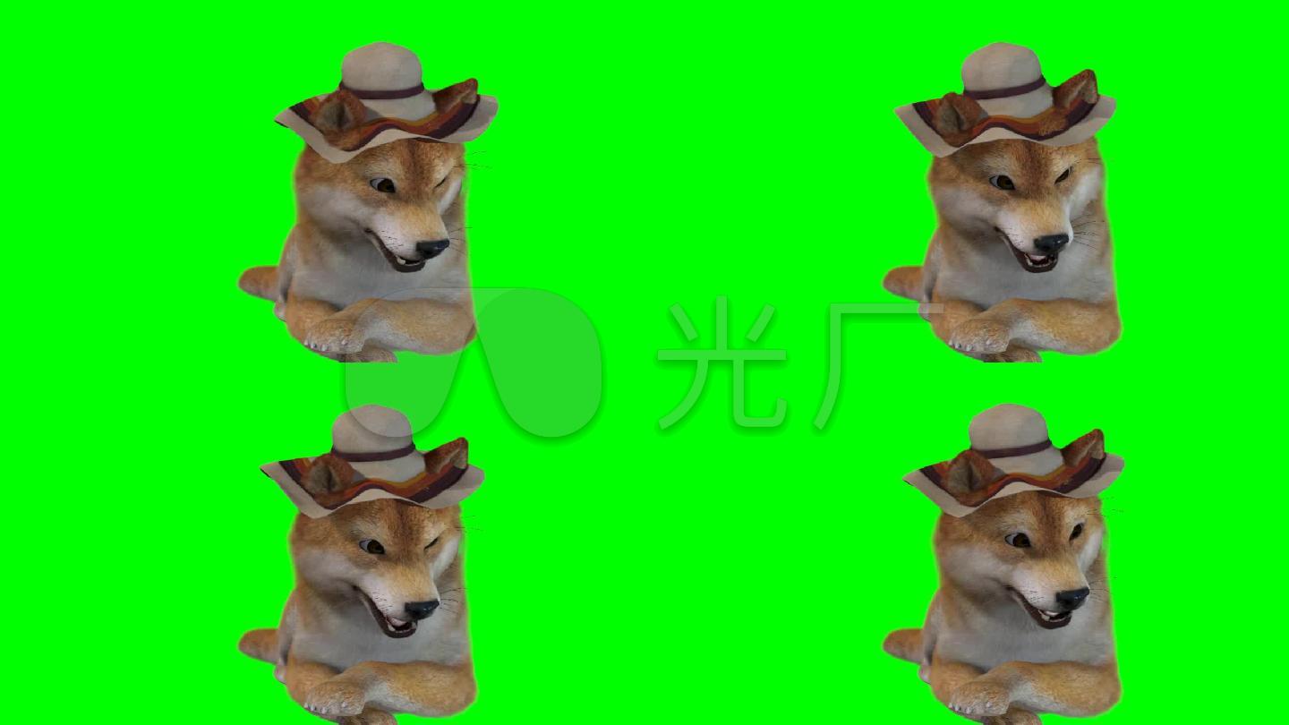 搞笑土狗16绿屏抠像素材绿幕素材