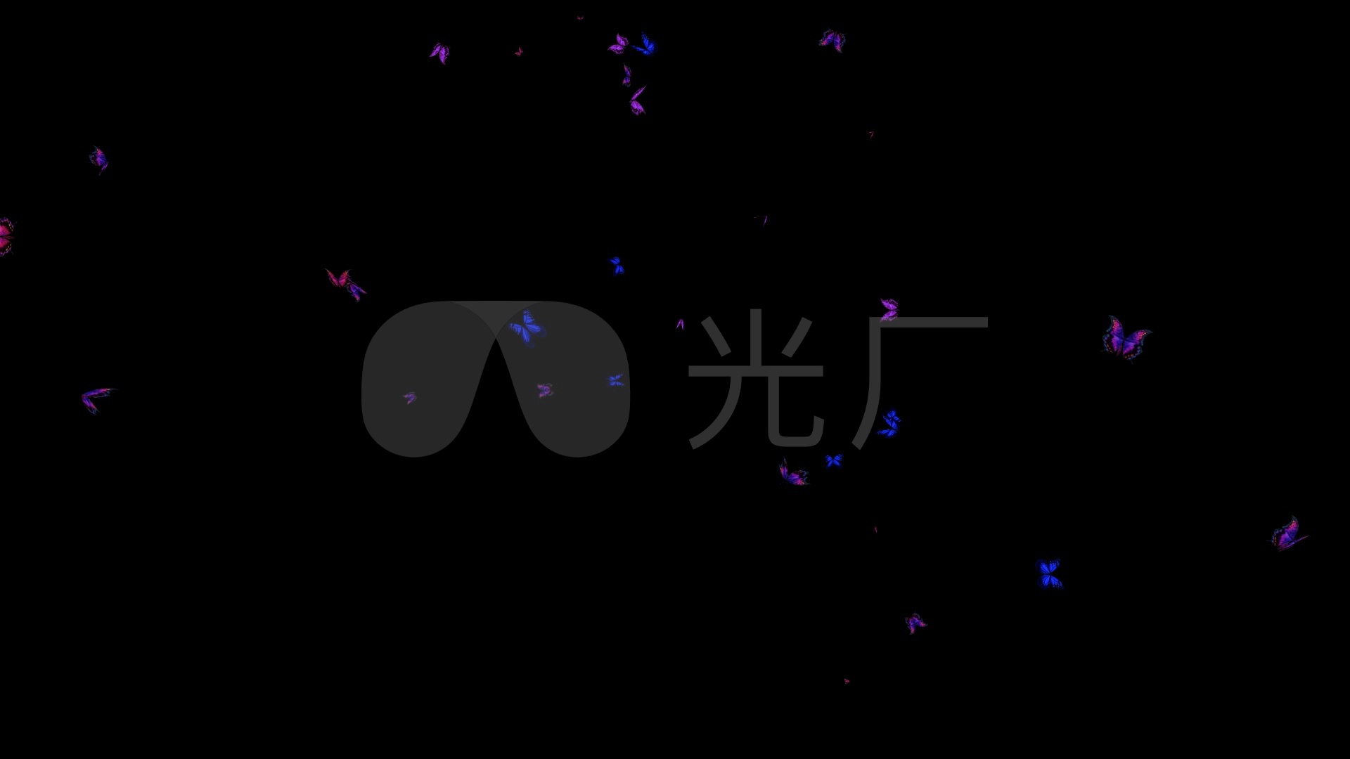 蝴蝶 夜光蝴蝶 蝴蝶飞散