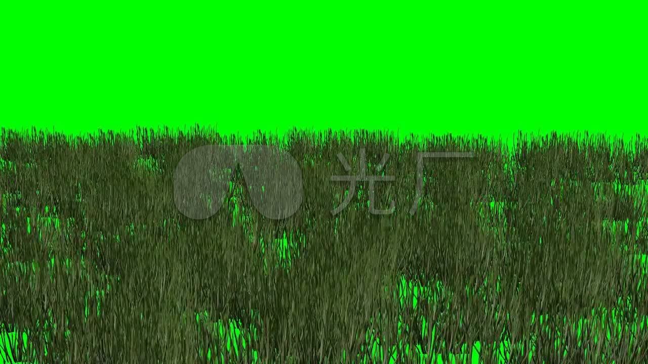草地随风摆动绿幕动画_1280x720_高清视频素材下载(:)