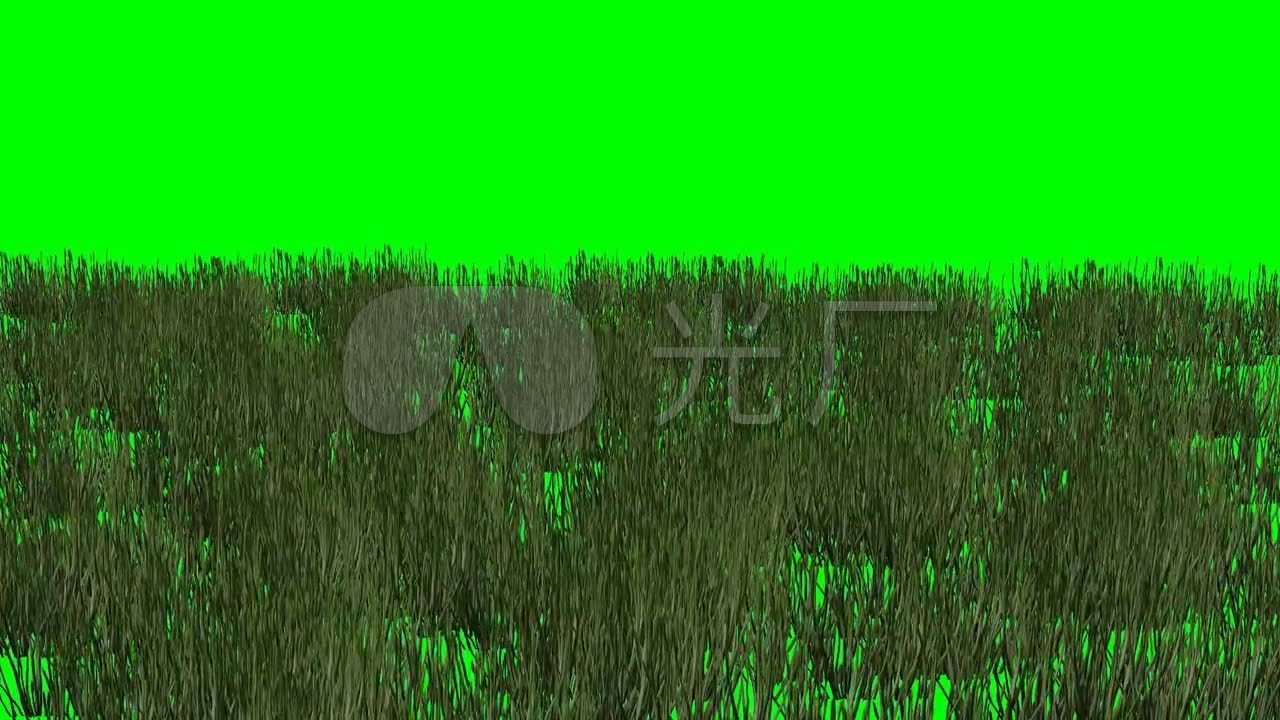 草地随风摆动绿幕动画_1280x720_高清视频素材下载(:)