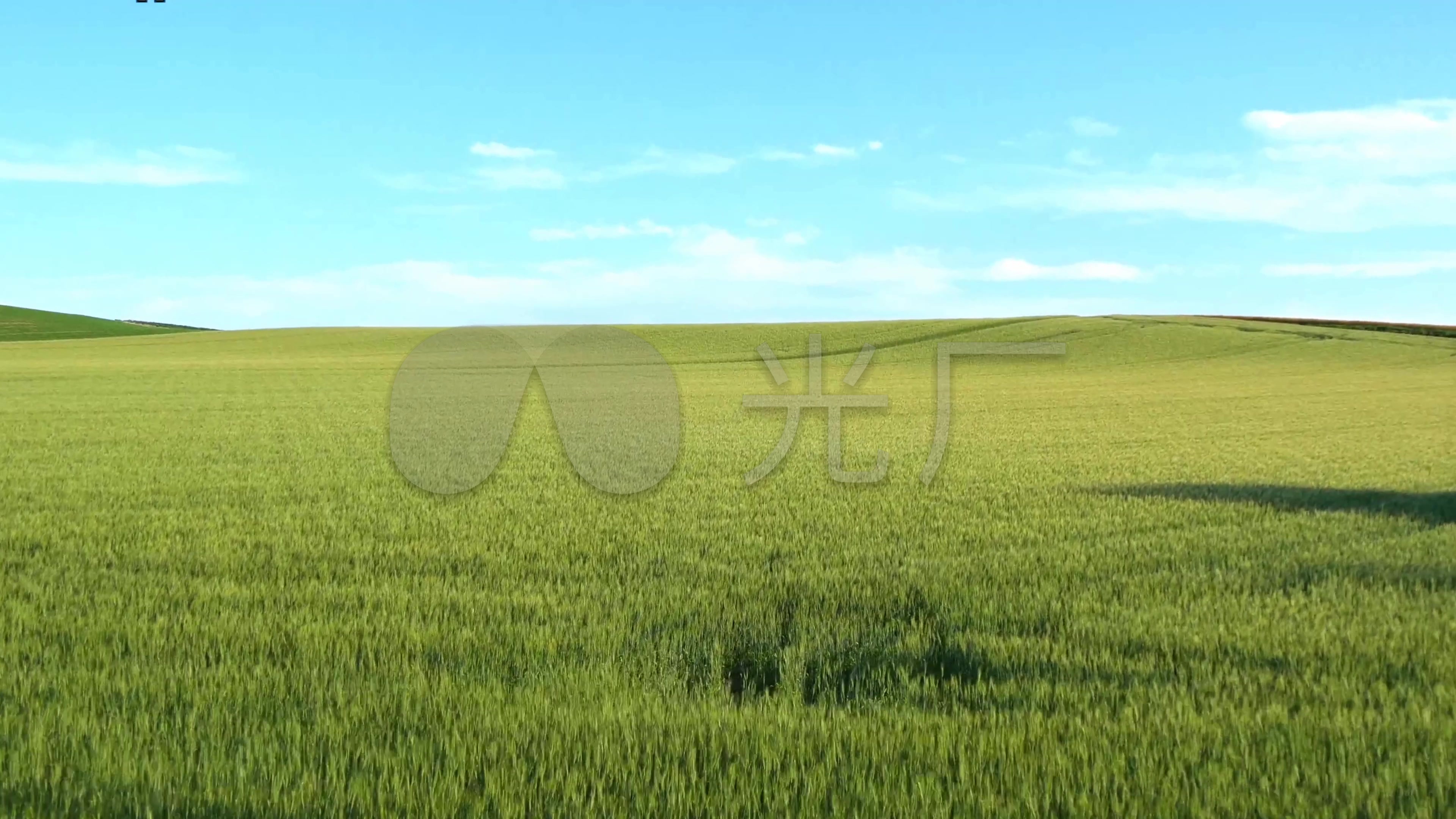 原野牧场农田风景4k(音乐)