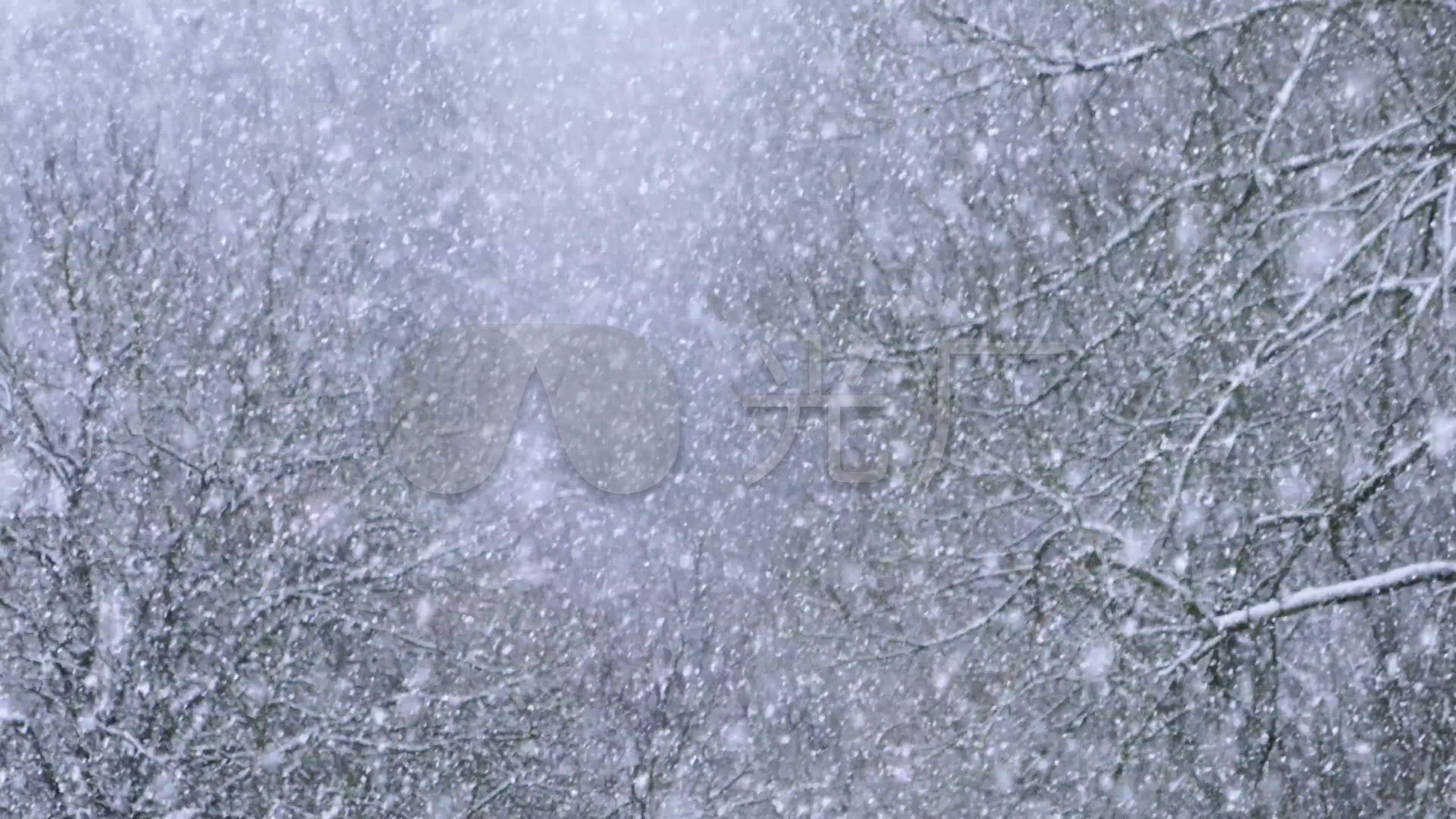 大雪纷飞_3840x2160_高清视频素材下载(编号:924411)