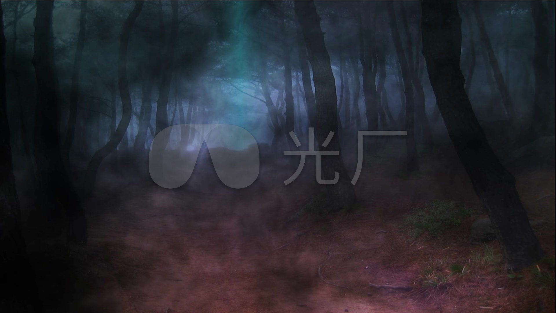 黑暗森林迷雾恐怖场景万圣节舞台晚会led