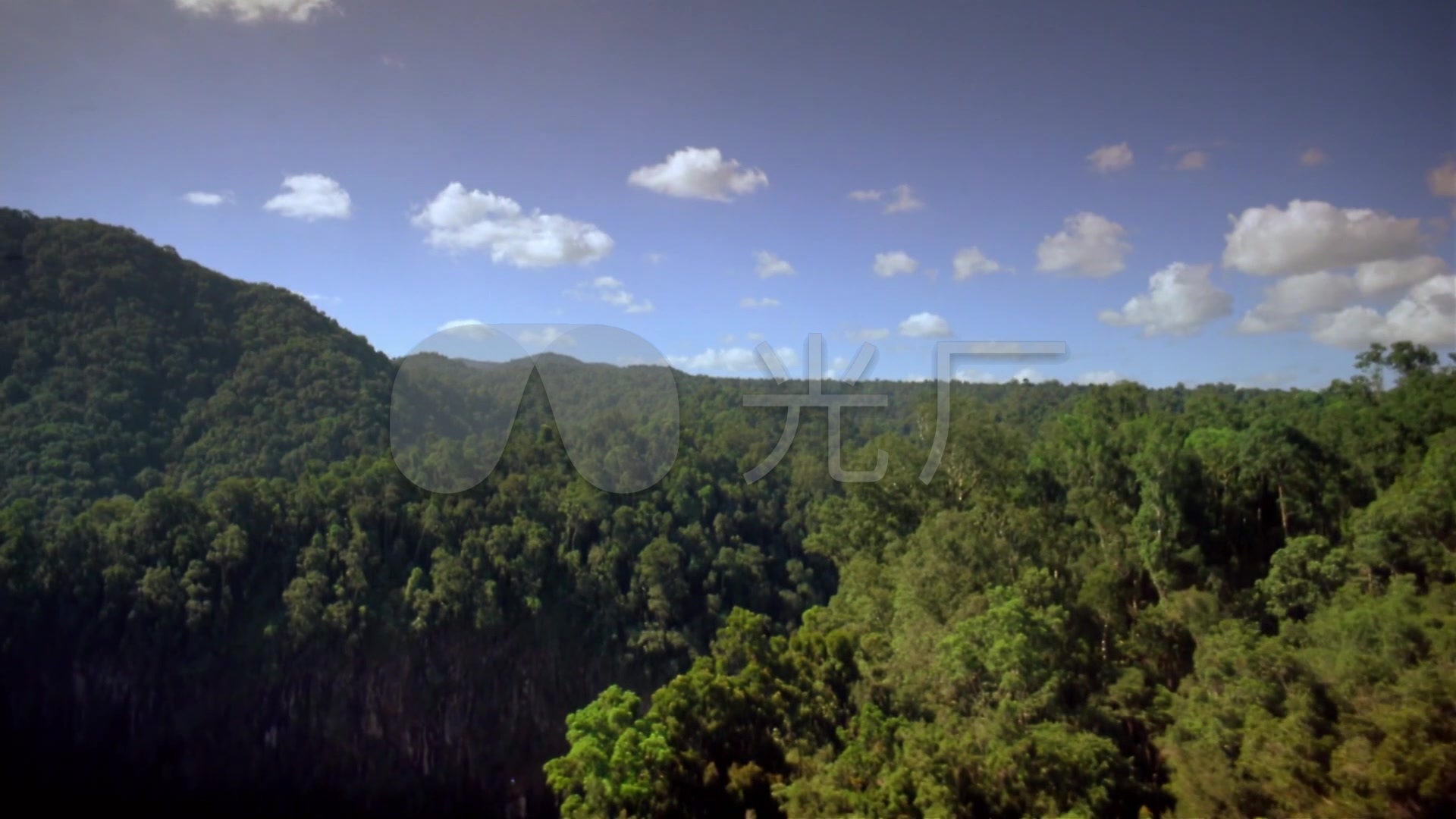 亚马逊原始森林热带雨林实拍镜头合集_1920X