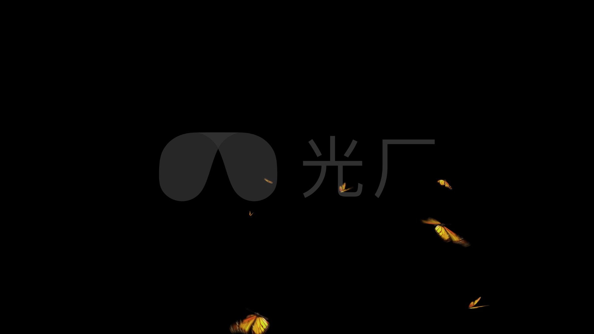 一群黄色蝴蝶_1920x1080_高清视频素材下载(编号:)