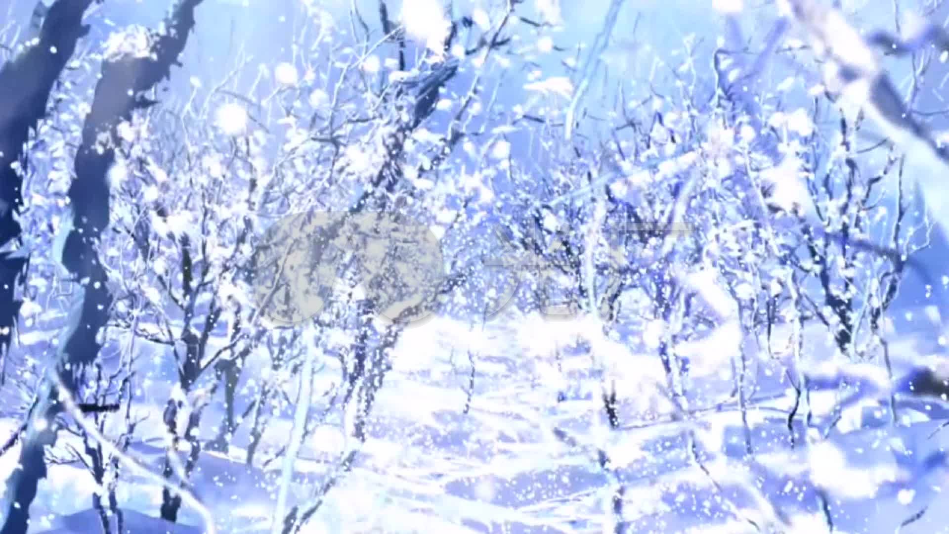雪飘雪冬天浪漫飘雪雪花飘飘_1920x1080_高清视频素材