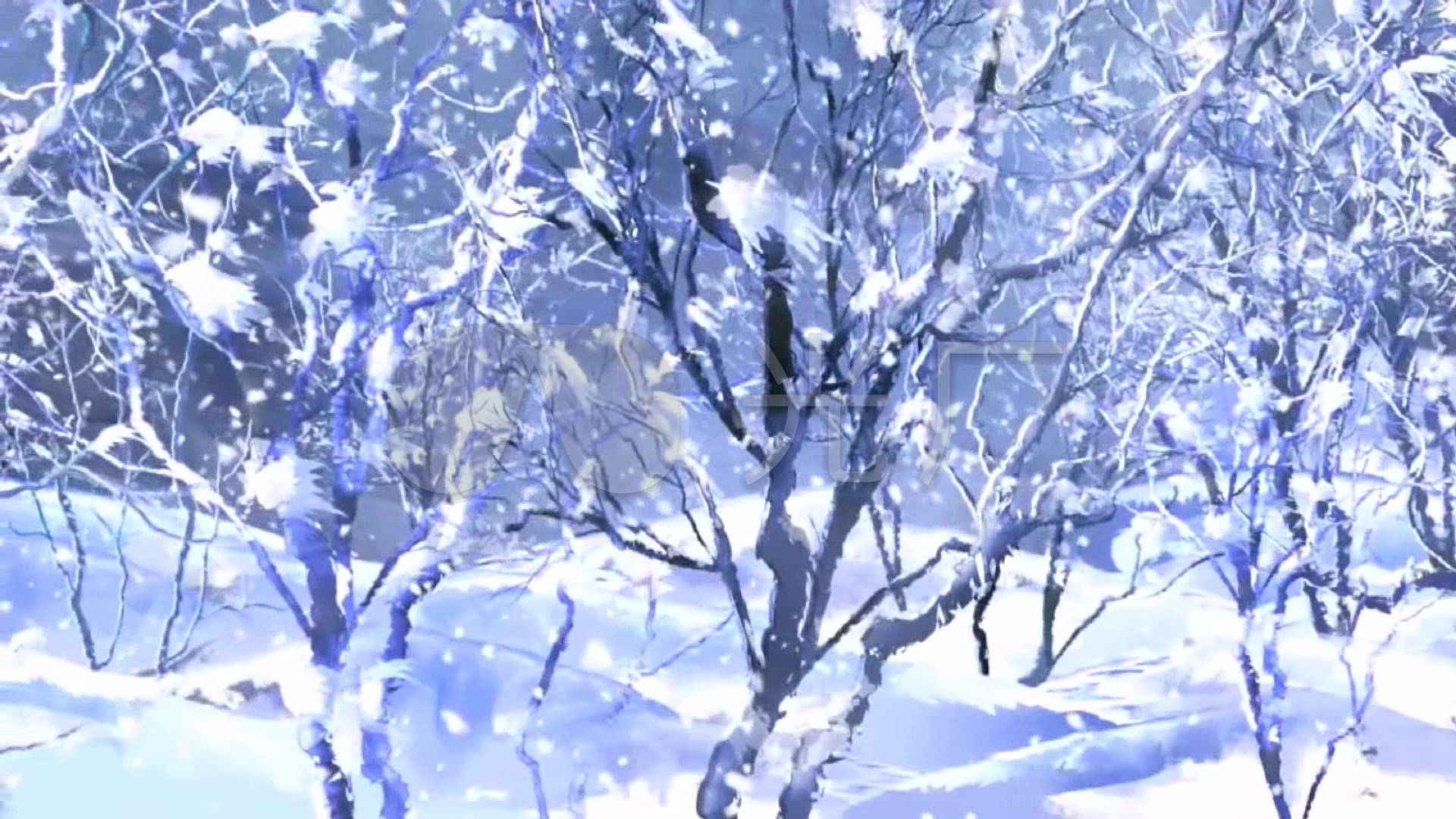 雪飘雪冬天浪漫飘雪雪花飘飘_1920x1080_高清视频素材