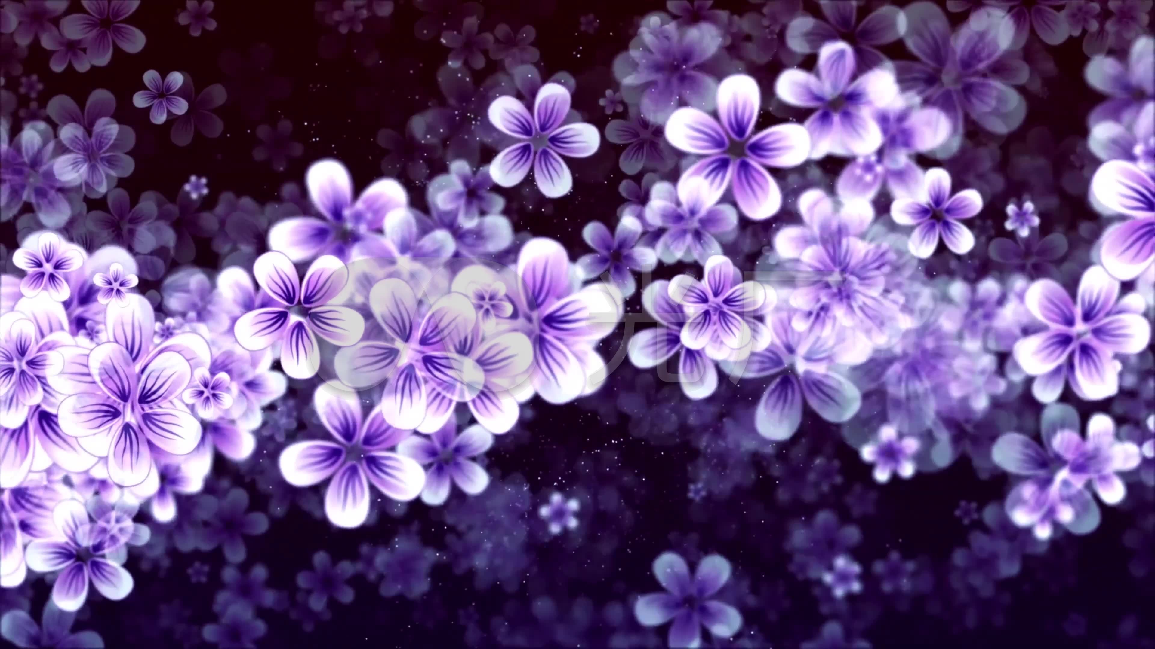 4k唯美紫色粒子花瓣背景