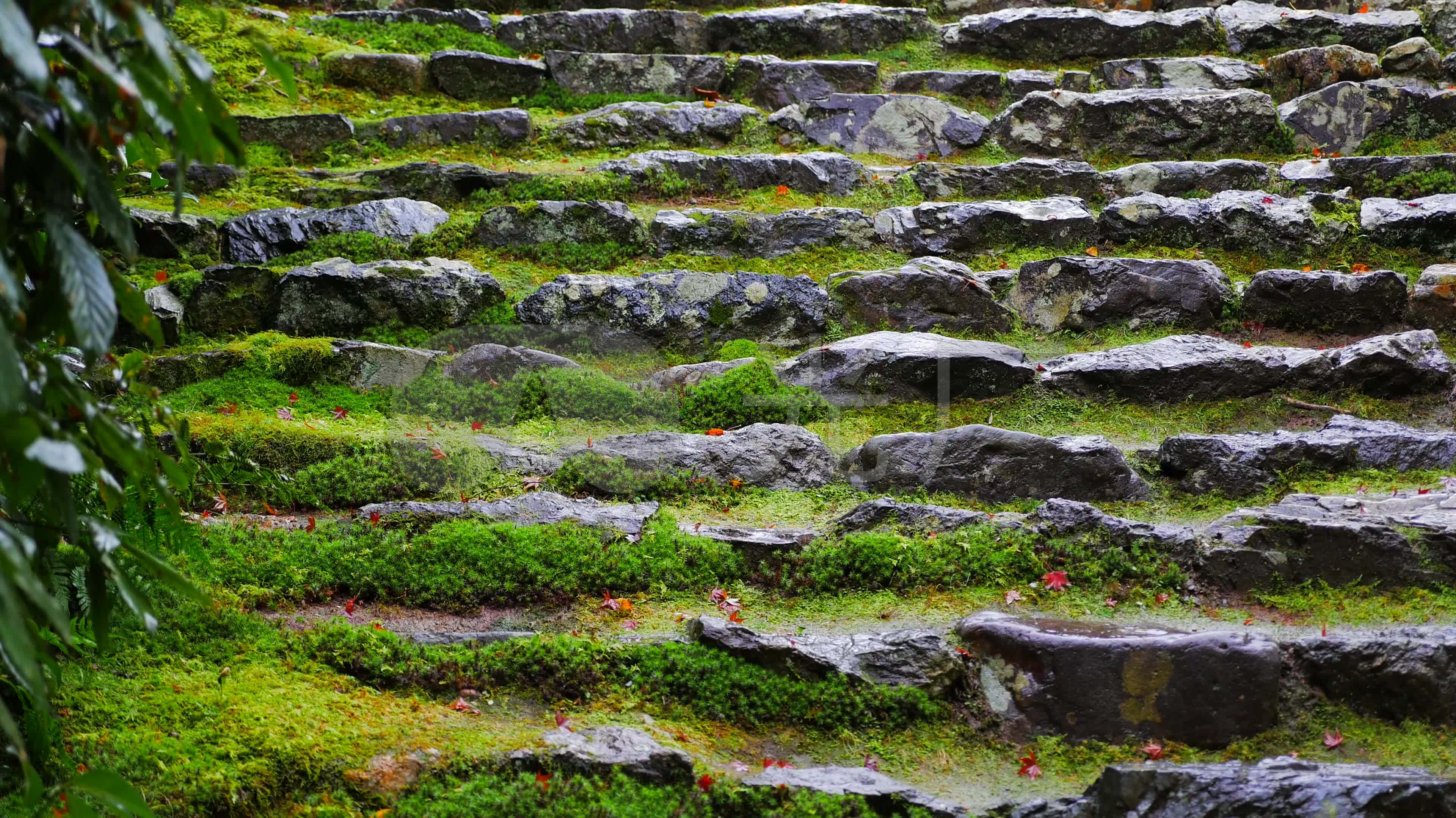 寺庙庭院景观园林池塘青石台阶青苔_3840x2160_高清视频素材下载(编号