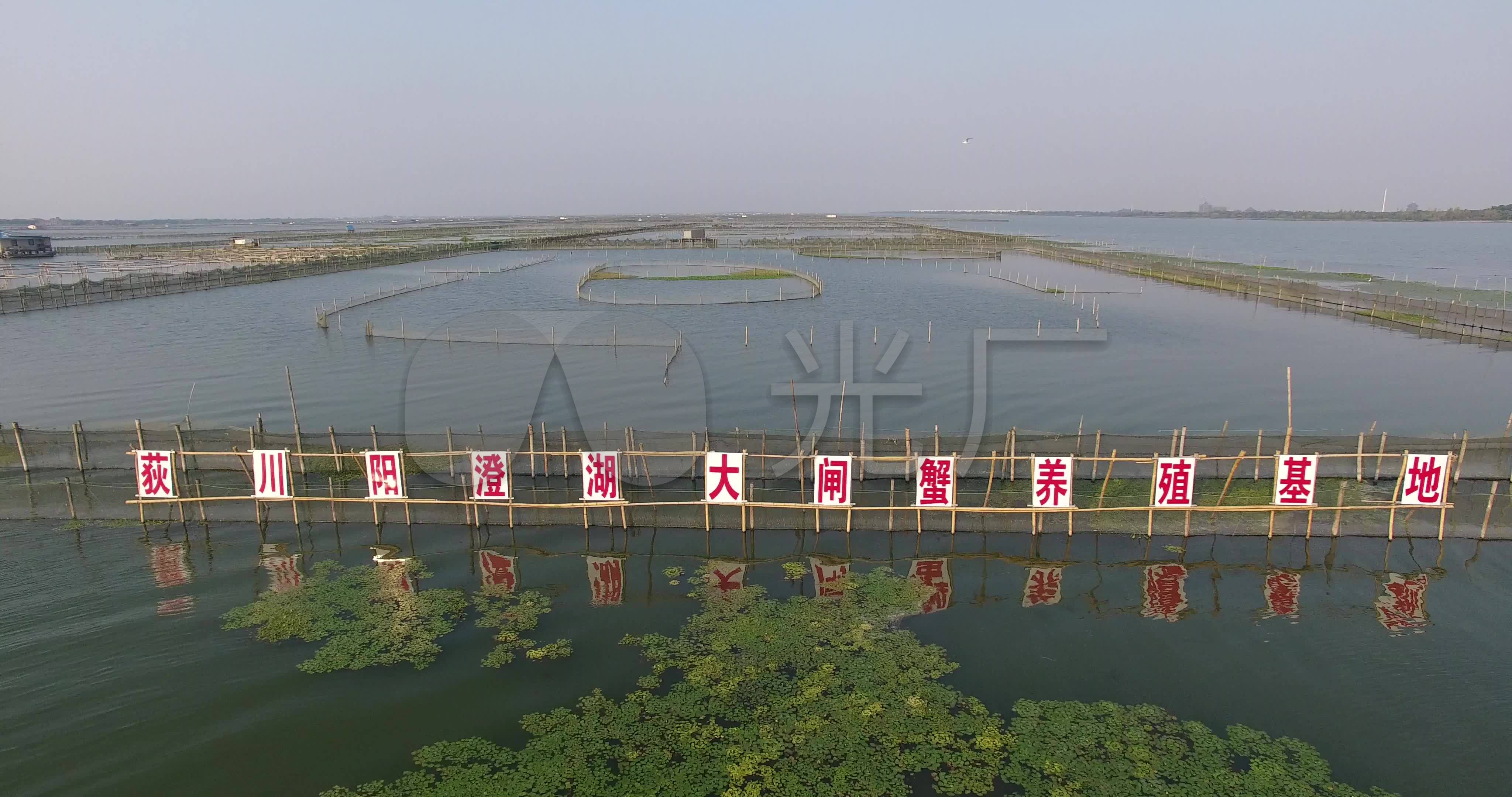航拍苏州阳澄湖大闸蟹养殖水池系列一_4096x2160_高清