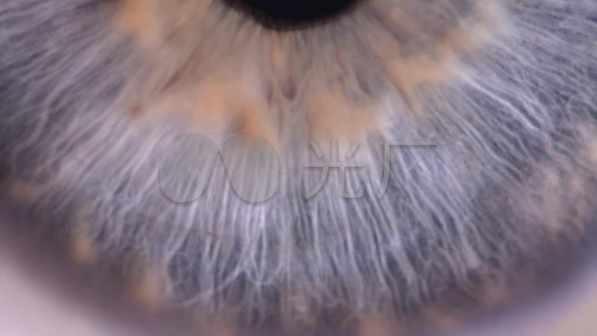 眼睛瞳孔虹膜放大特写睫毛视频素材高清_1920x1080_高清视频素材下载