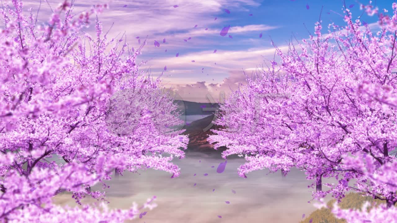桃花林