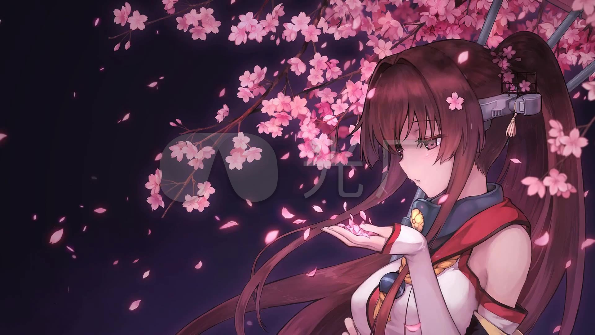 唯美古风少女樱花_1920x1080_高清视频素材下载(编号