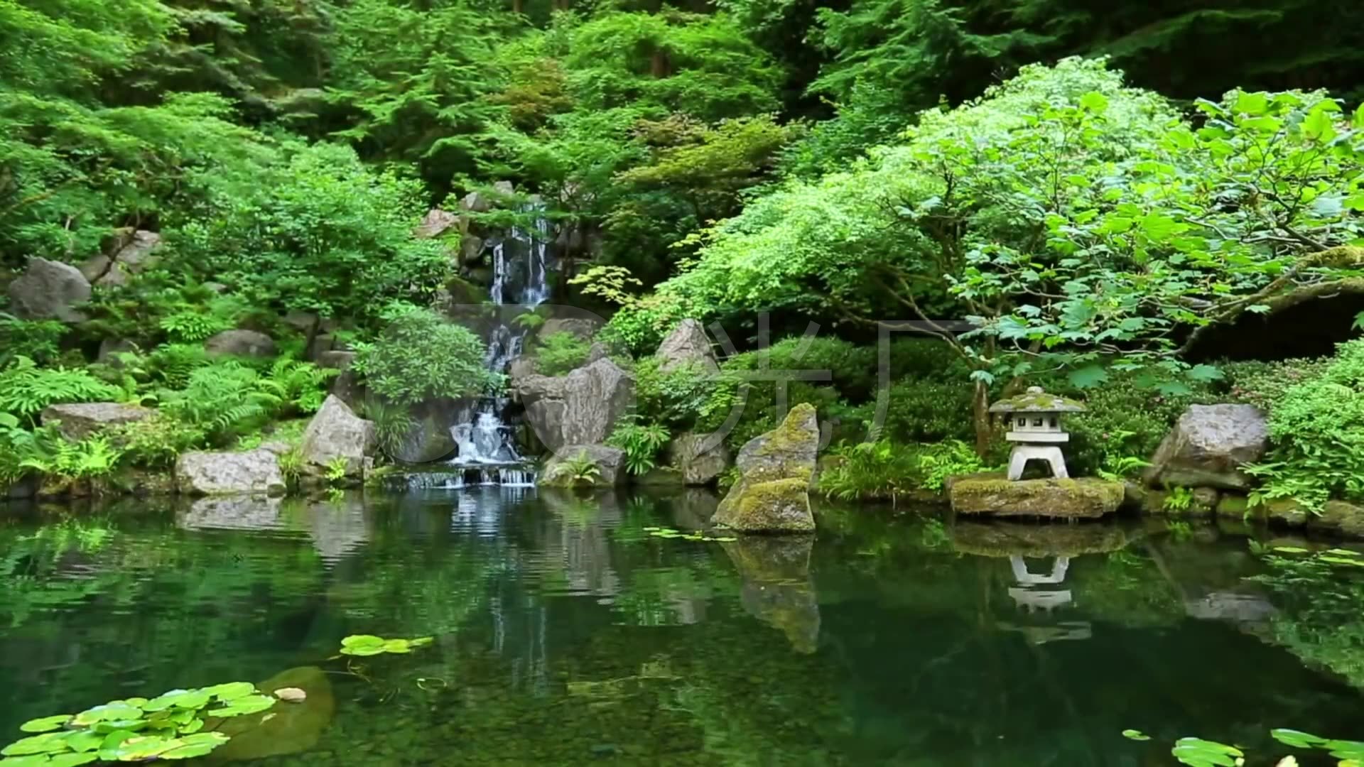 竹林锦鲤小桥流水池塘溪流烛光鹅卵石