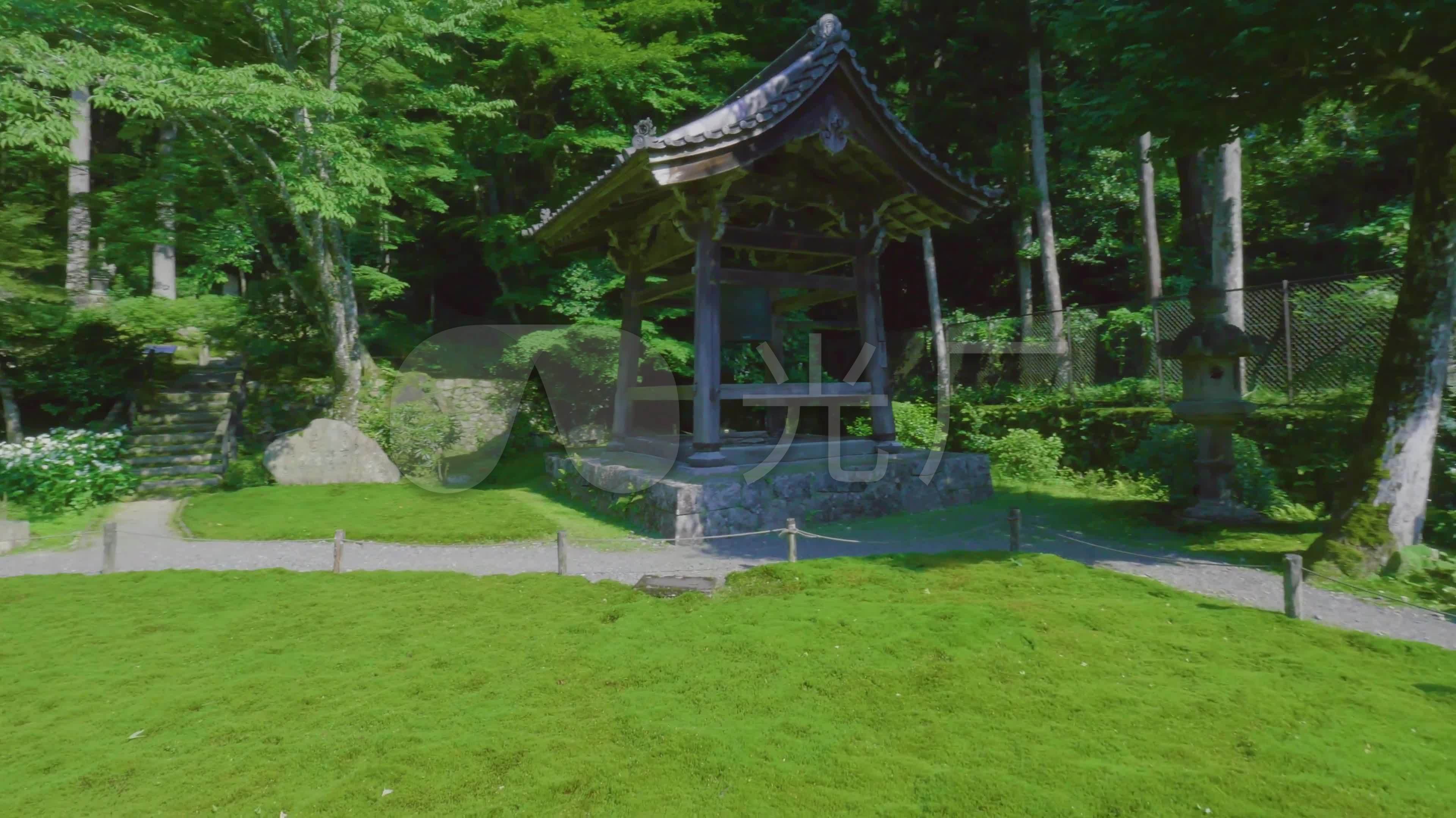 古树美女美女菜地禅意同事田野_3840X2160_乡村我致命的寺庙图片