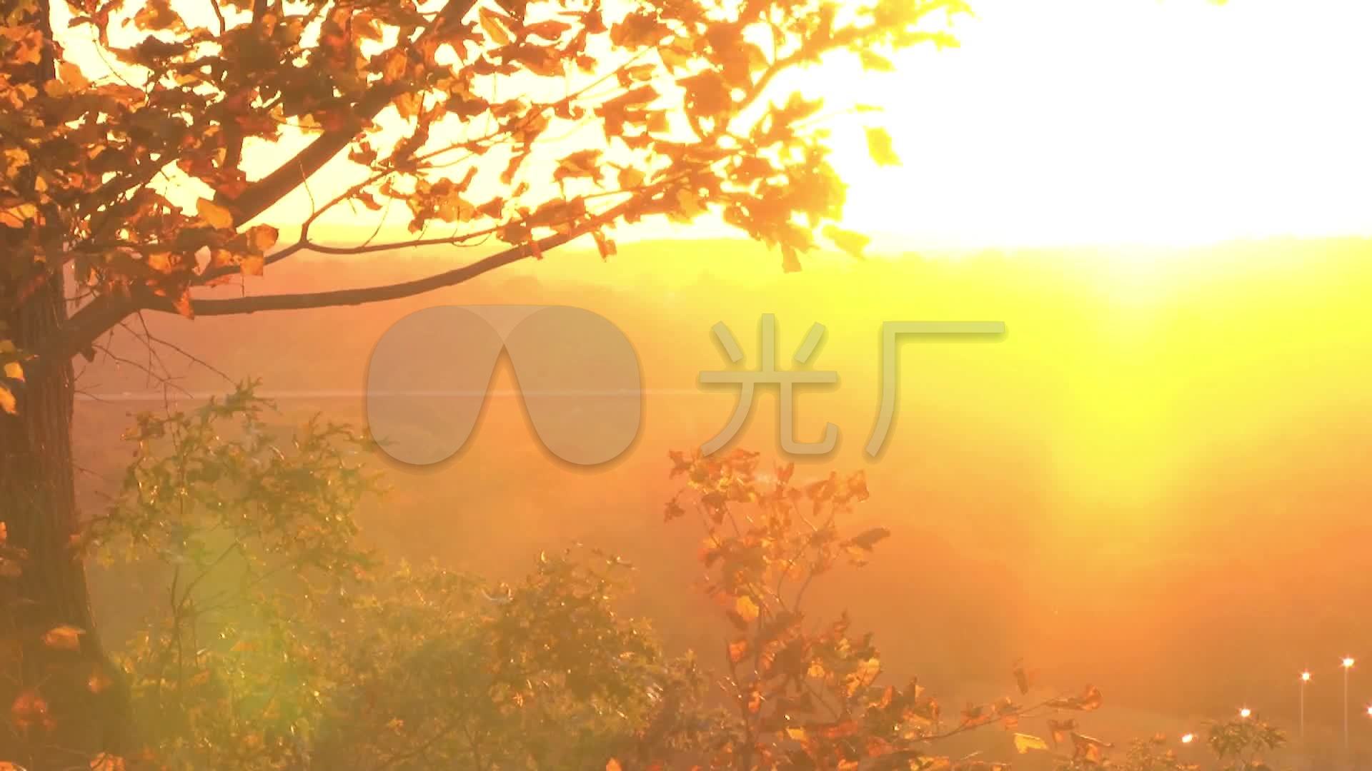 视频素材 实拍视频 自然风景 金色阳光夕阳霞光逆光光影午后阳光 来自