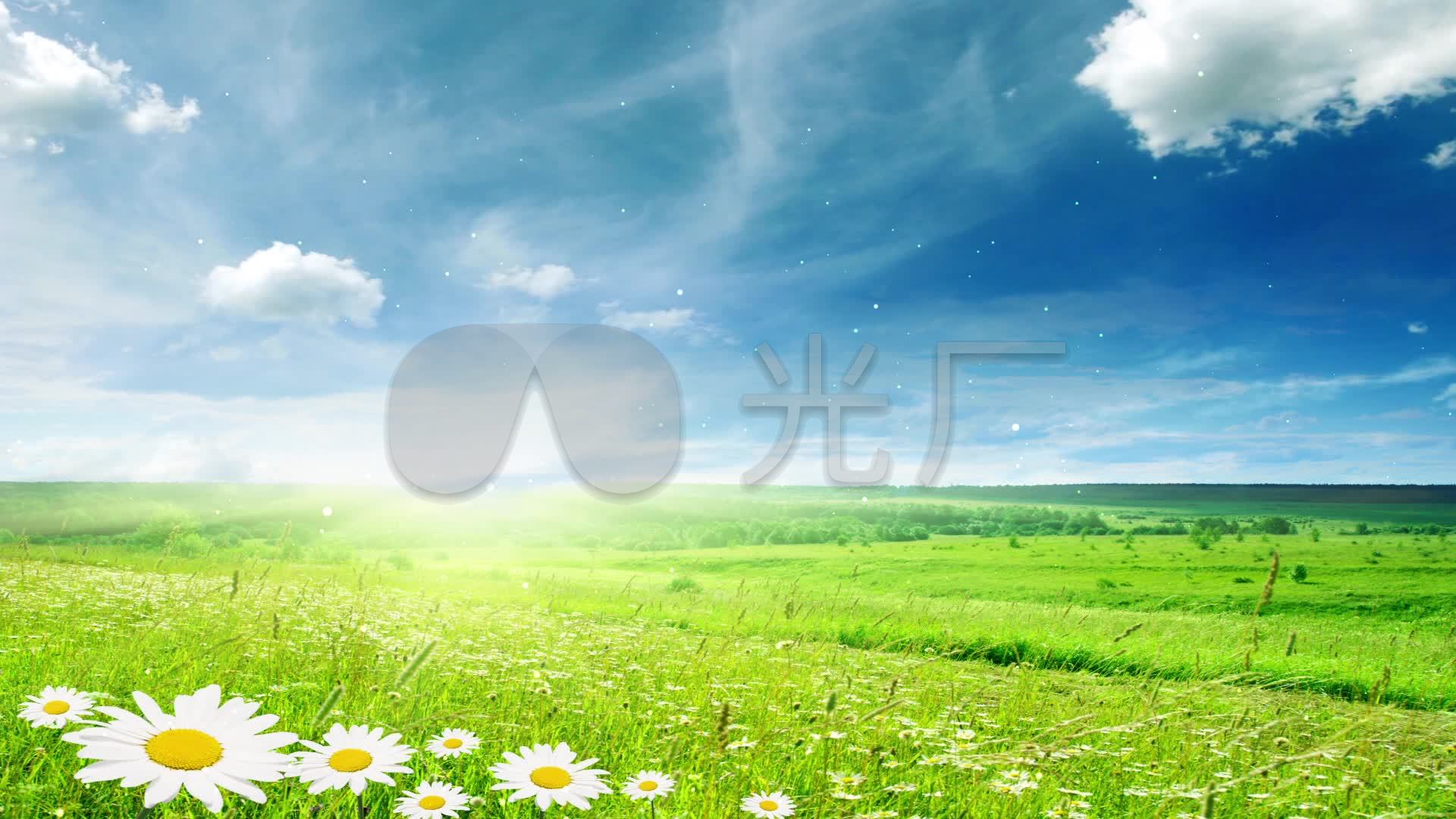 强烈推荐!蓝天鲜花草地【超清】