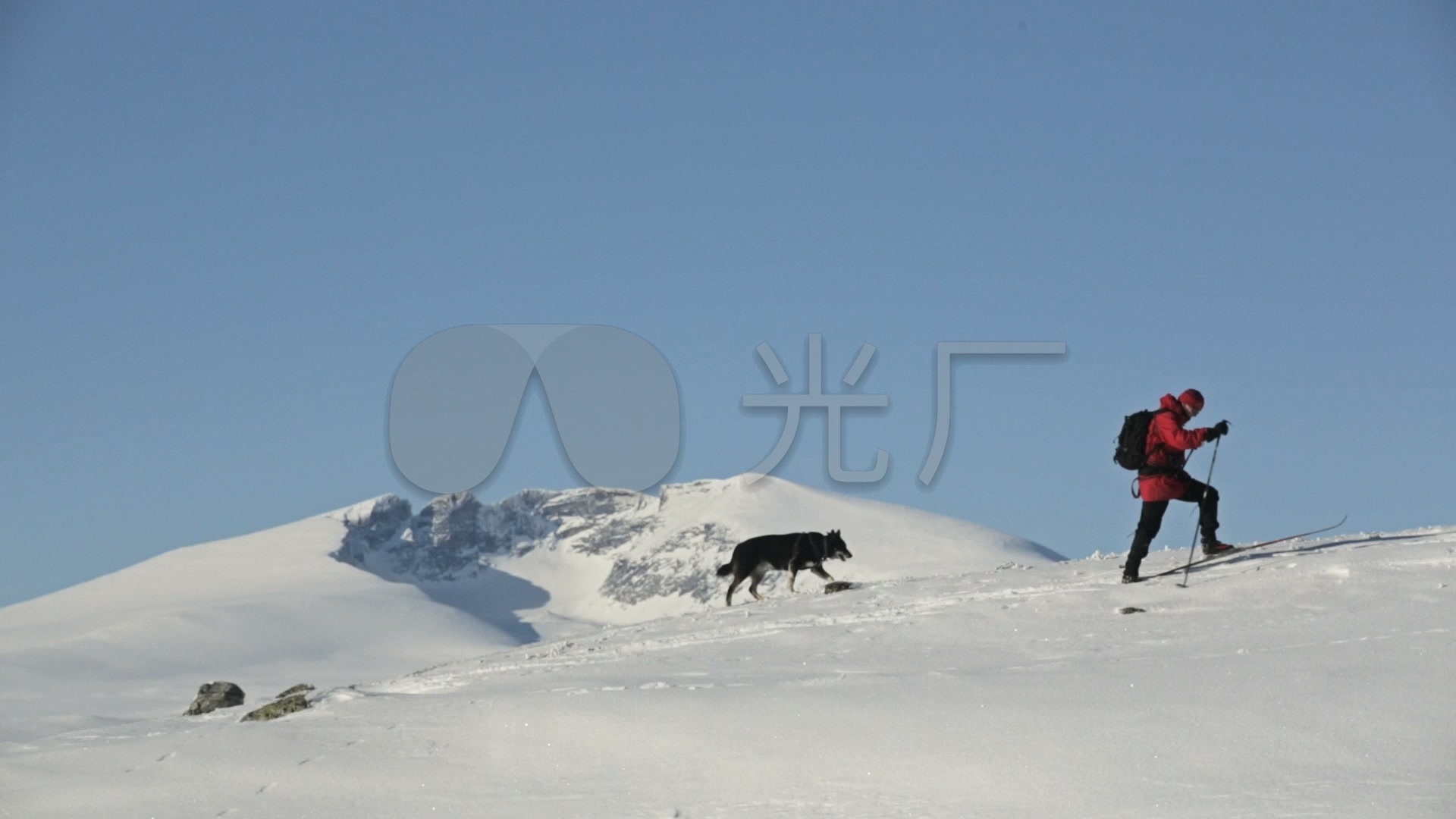 一个人一只狗登雪山