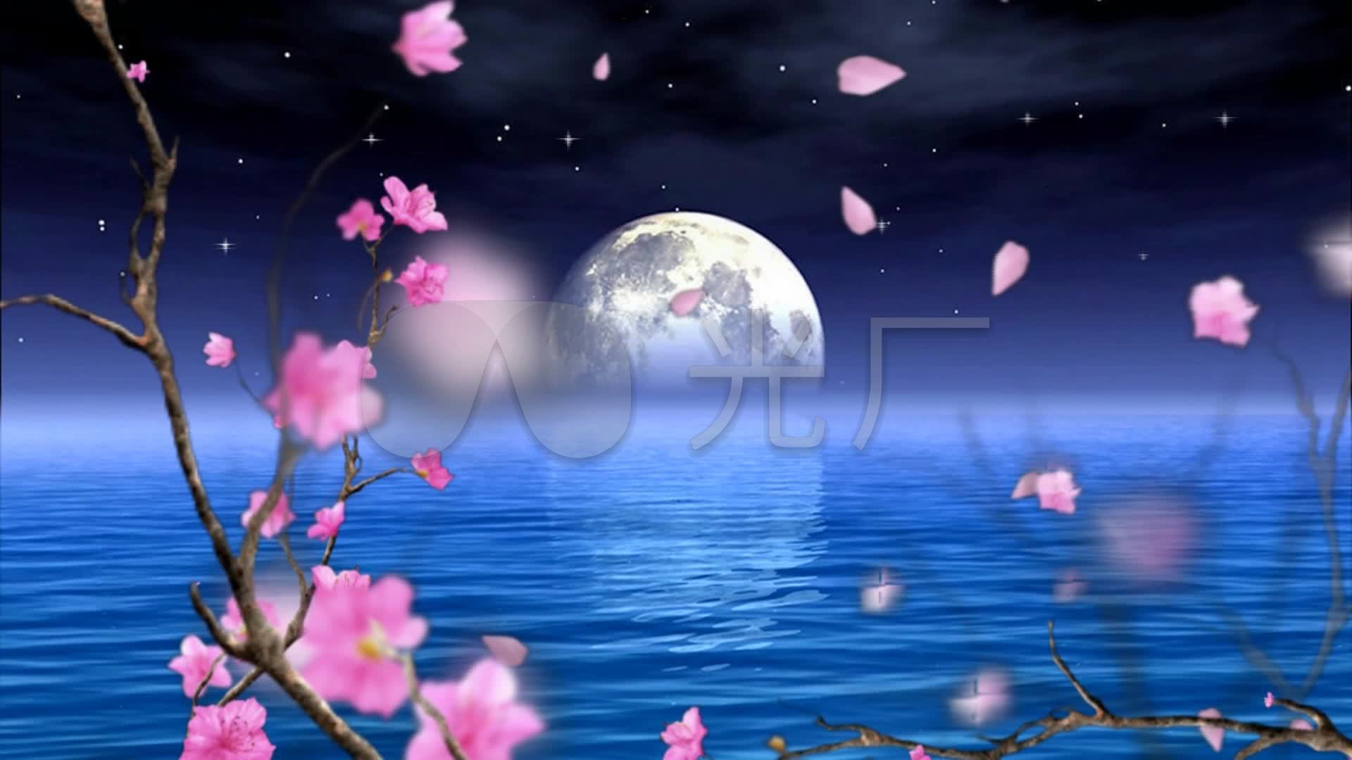 歌曲《月亮花儿开》背景视频_1920x1080_高清视频素材