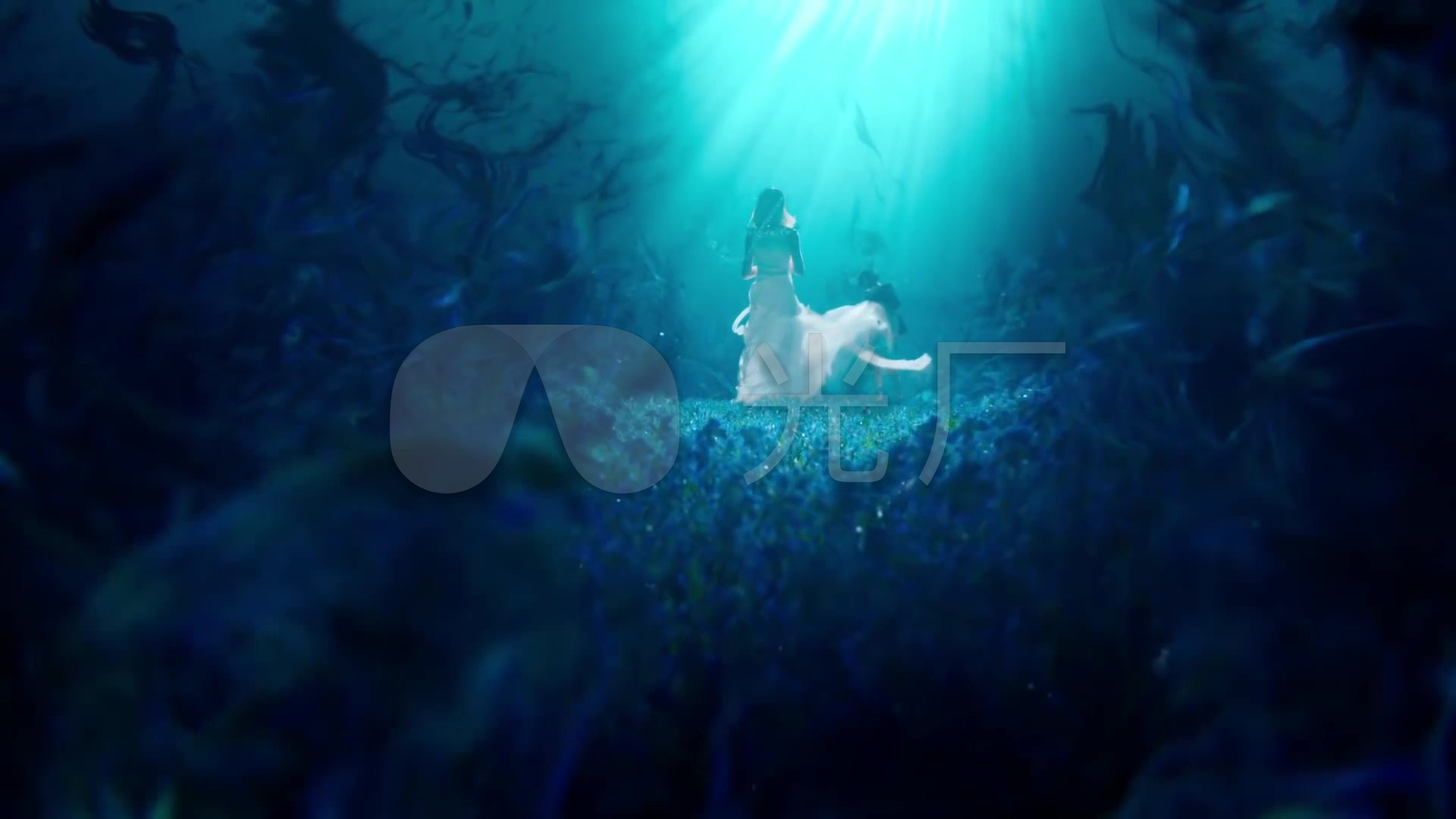 唯美深海美女