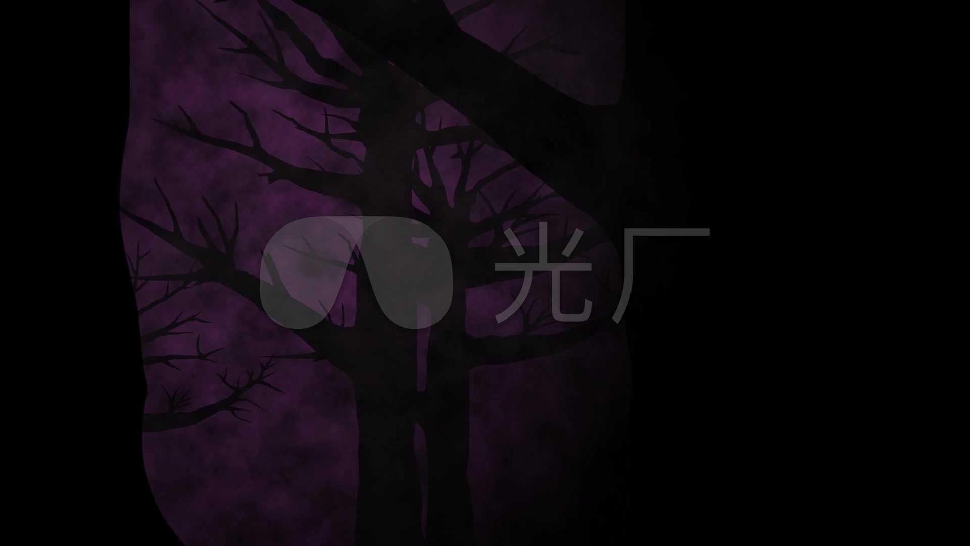 缓缓移动的黑暗森林阴森恐怖_1920x1080_高清视频素材