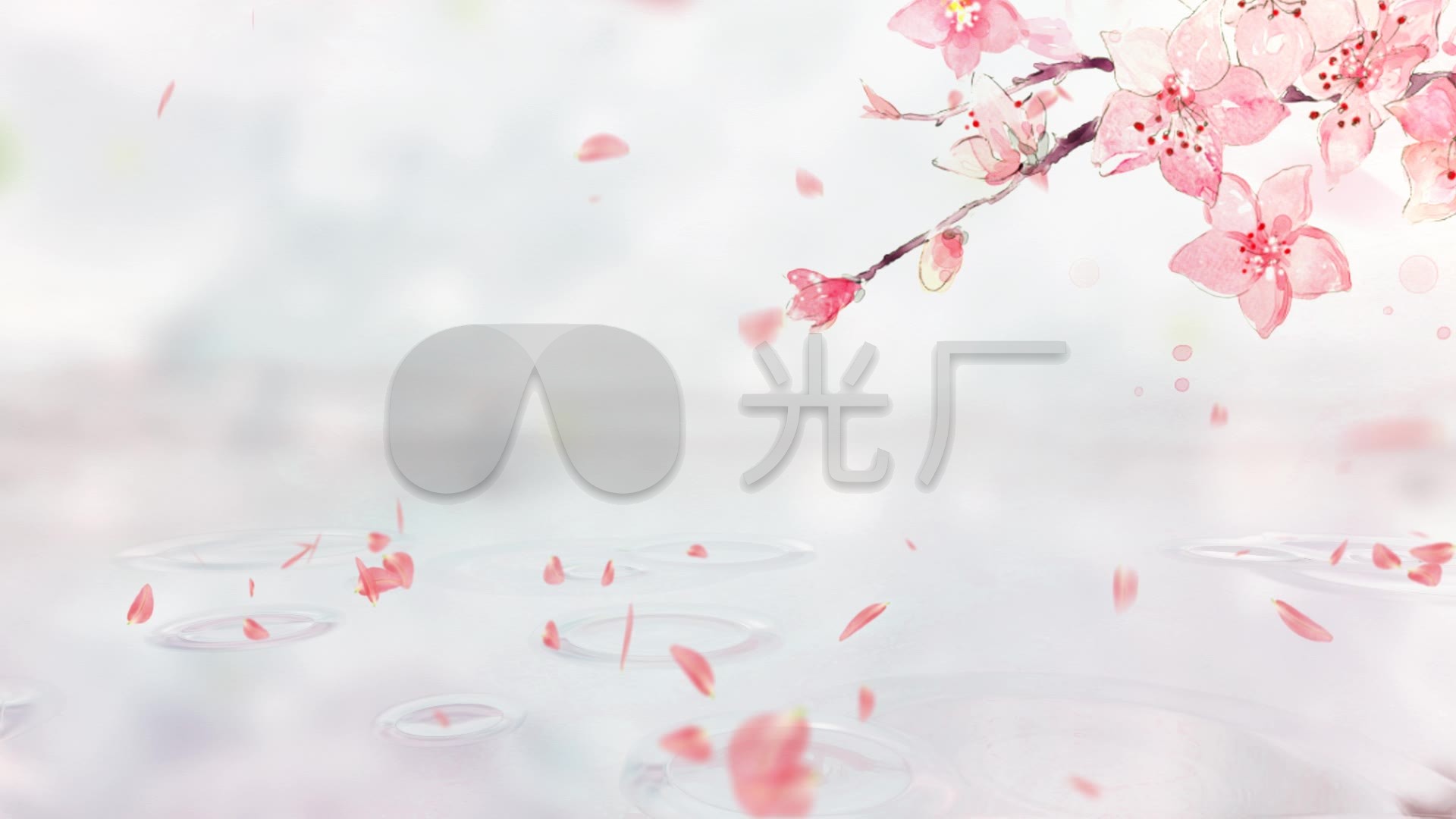 桃花飘落背景
