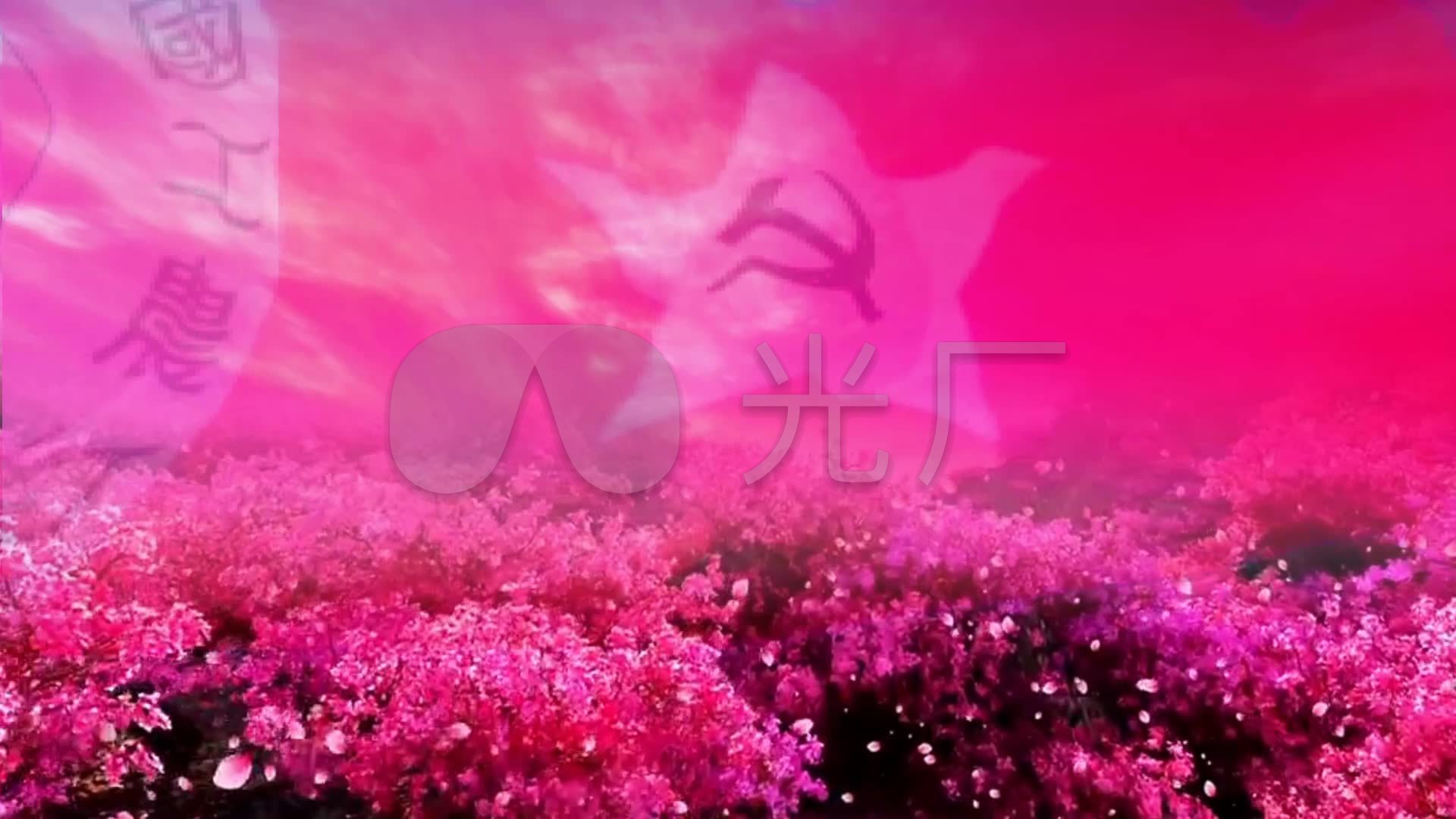 【映山红】花海 彩云 飞舞 背景素材