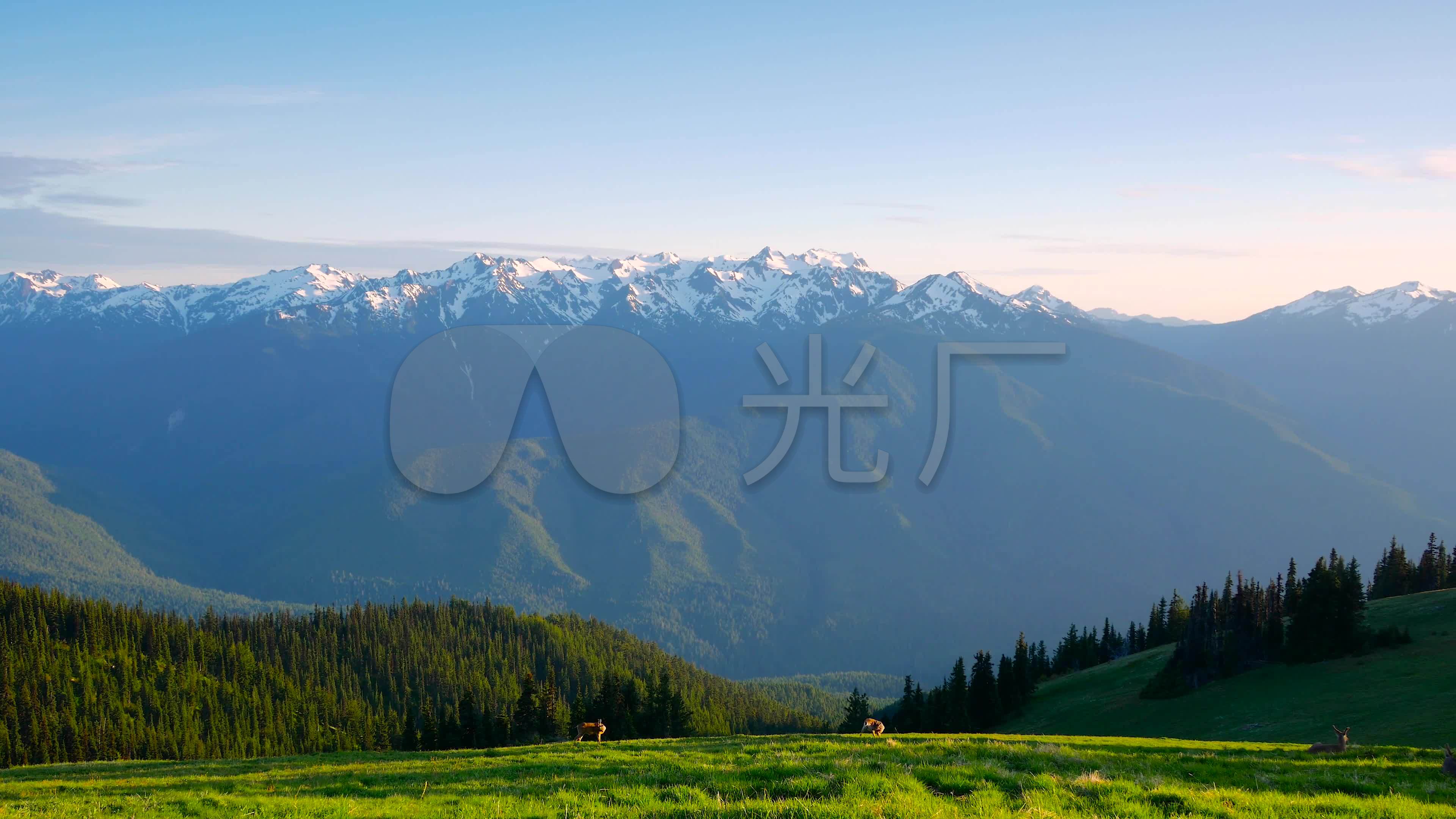 美丽大自然风景雪山草原小鹿_3840X2160_高清视频素材下载(编号:1050663)_实拍视频