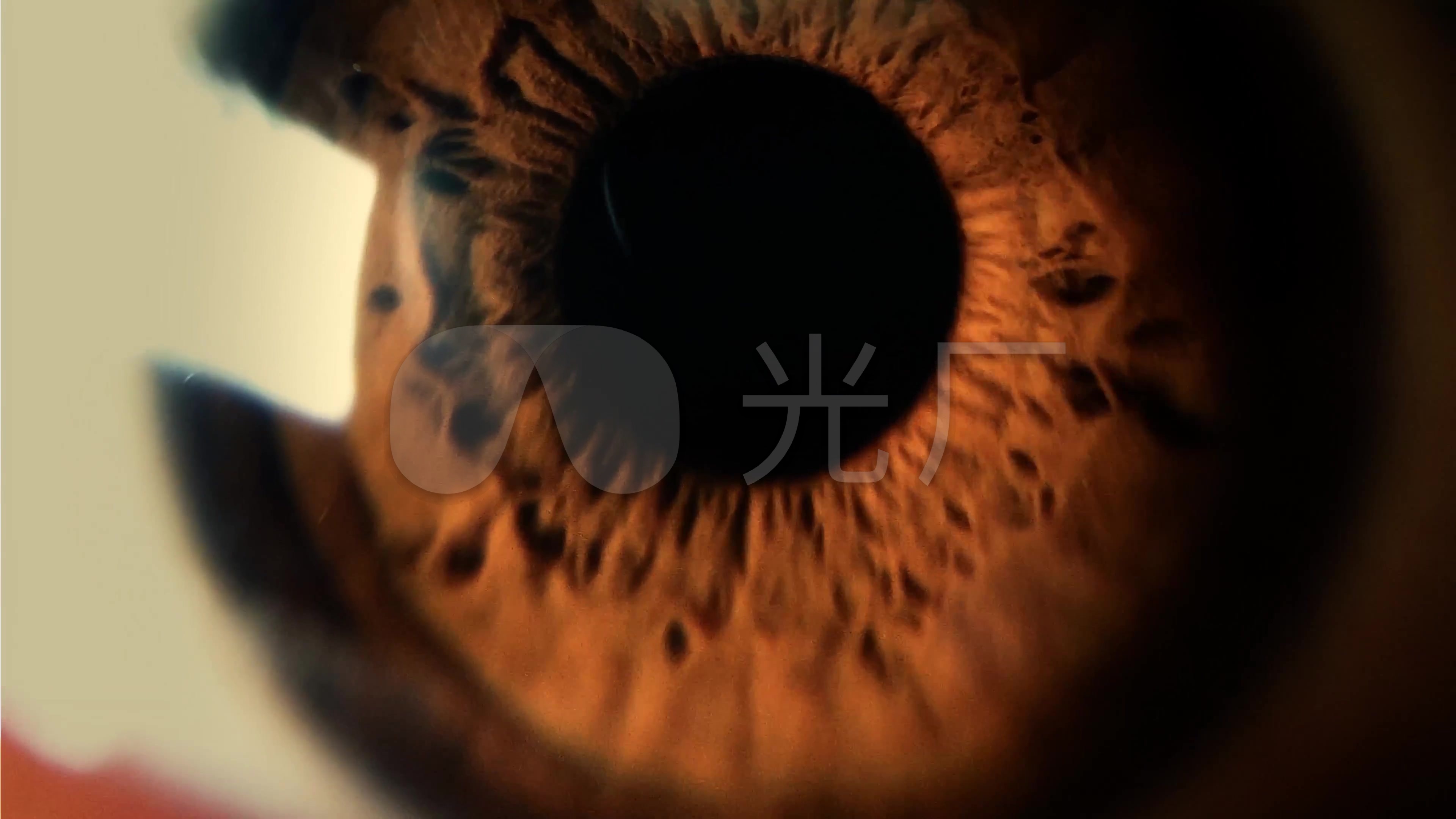 4k高清眼睛瞳孔特写