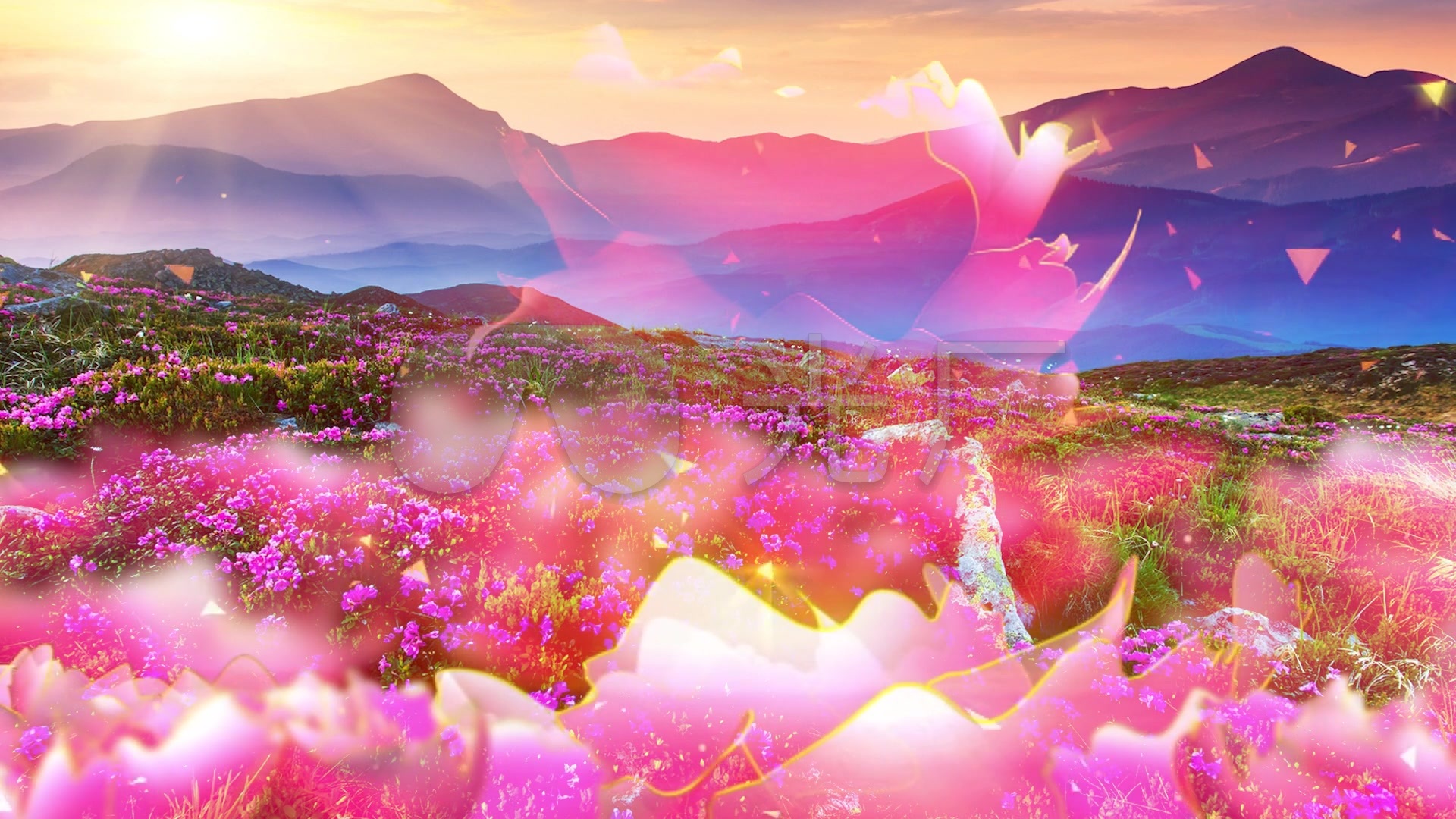 歌曲《大地飞歌》_1920x1080_高清视频素材下载(编号