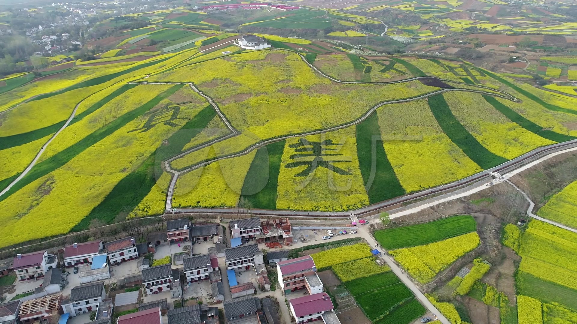 2017汉中油菜花海