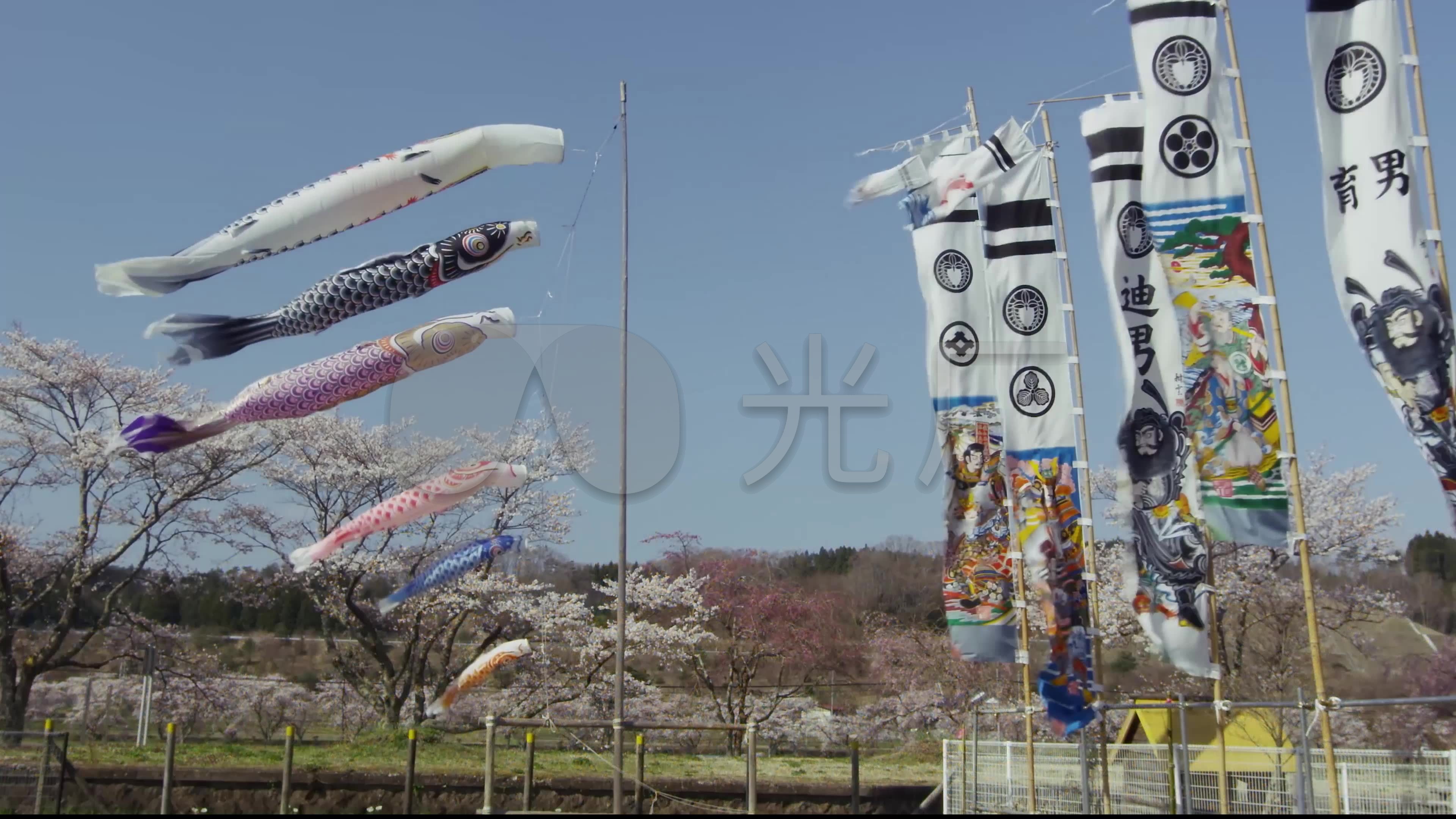 4k-鲤鱼旗 超美 桌面 级风光 大片
