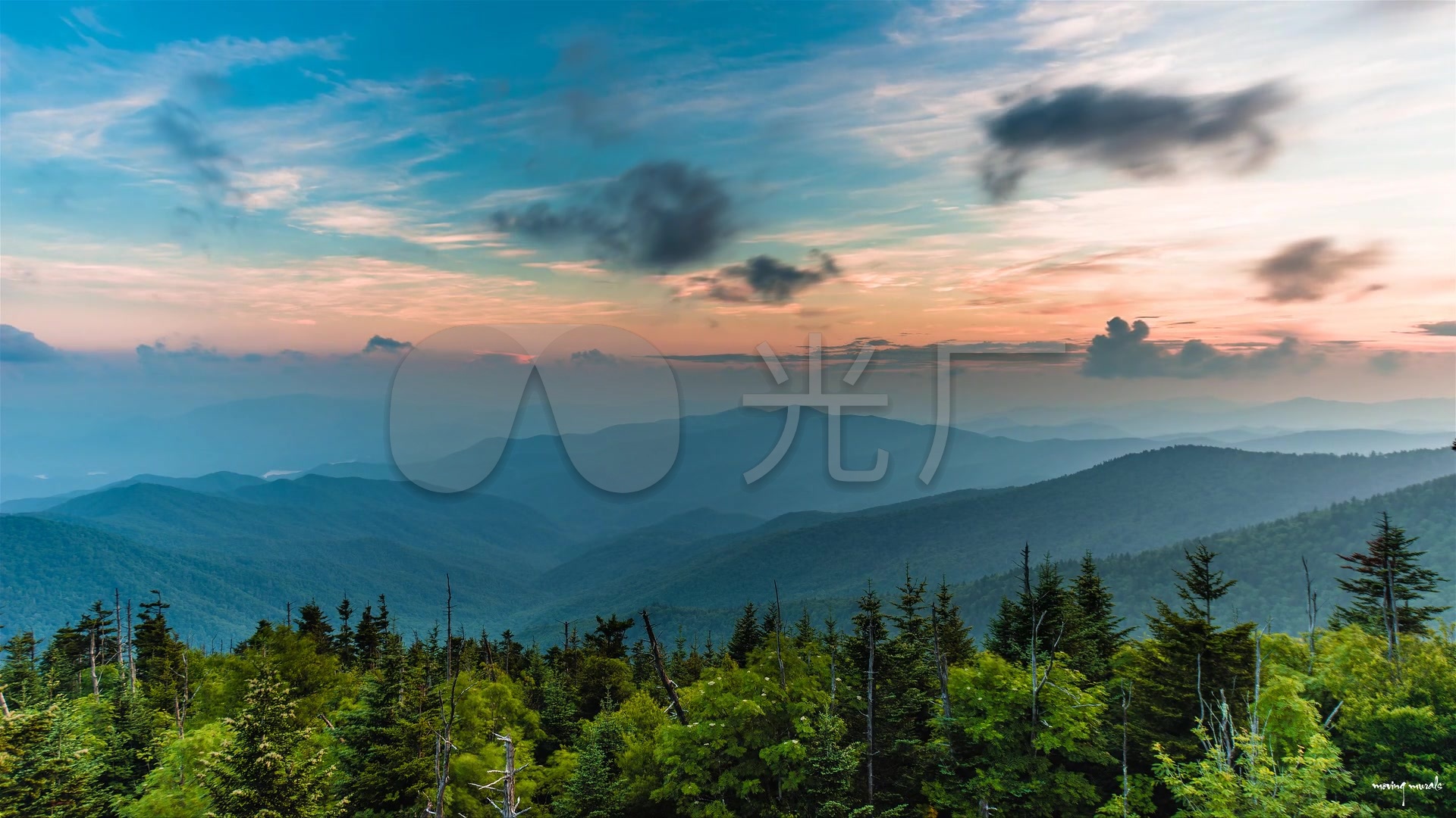 唯美森林远处大山天空背景